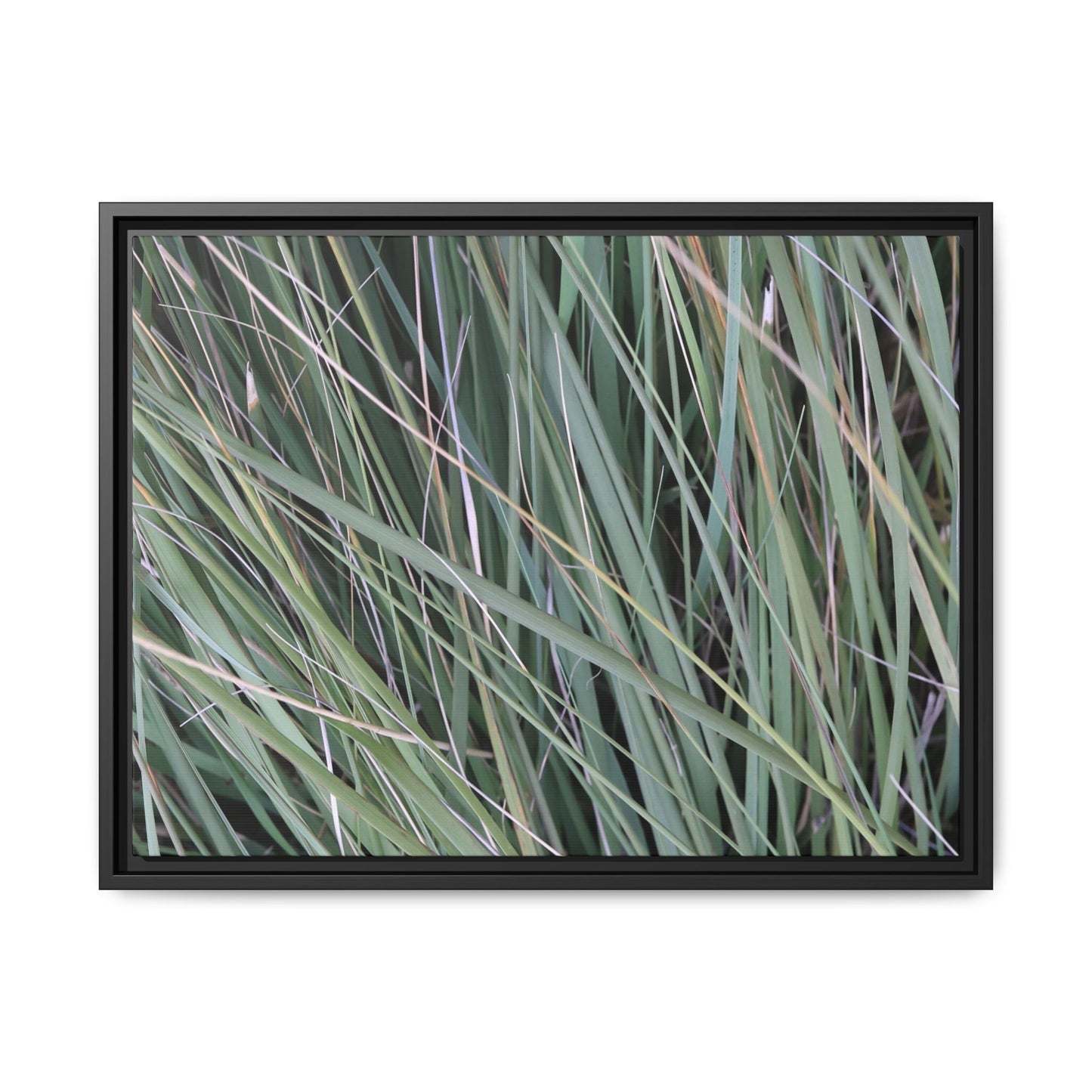Grassland Symphony - Unique Stretched Canvas Wall Art