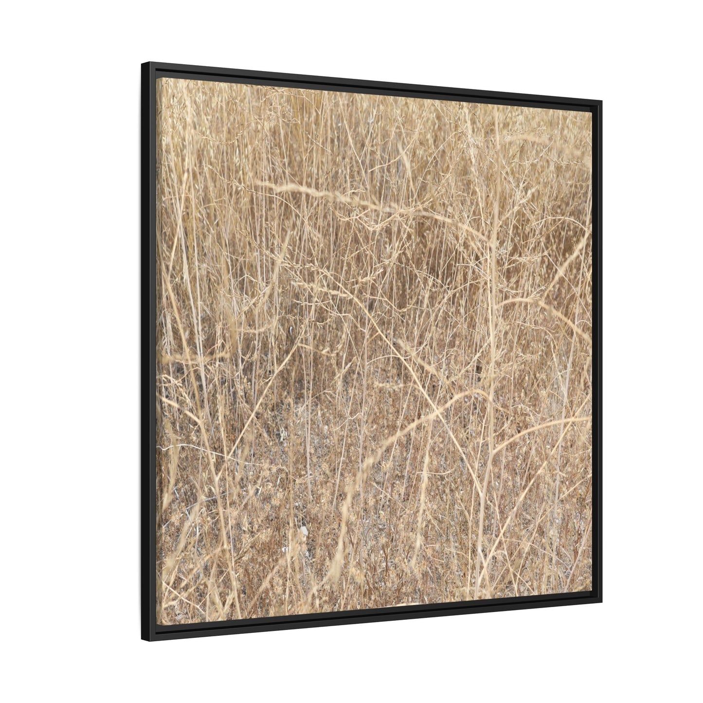 Golden Stalks - Unique Stretched Canvas Wall Art