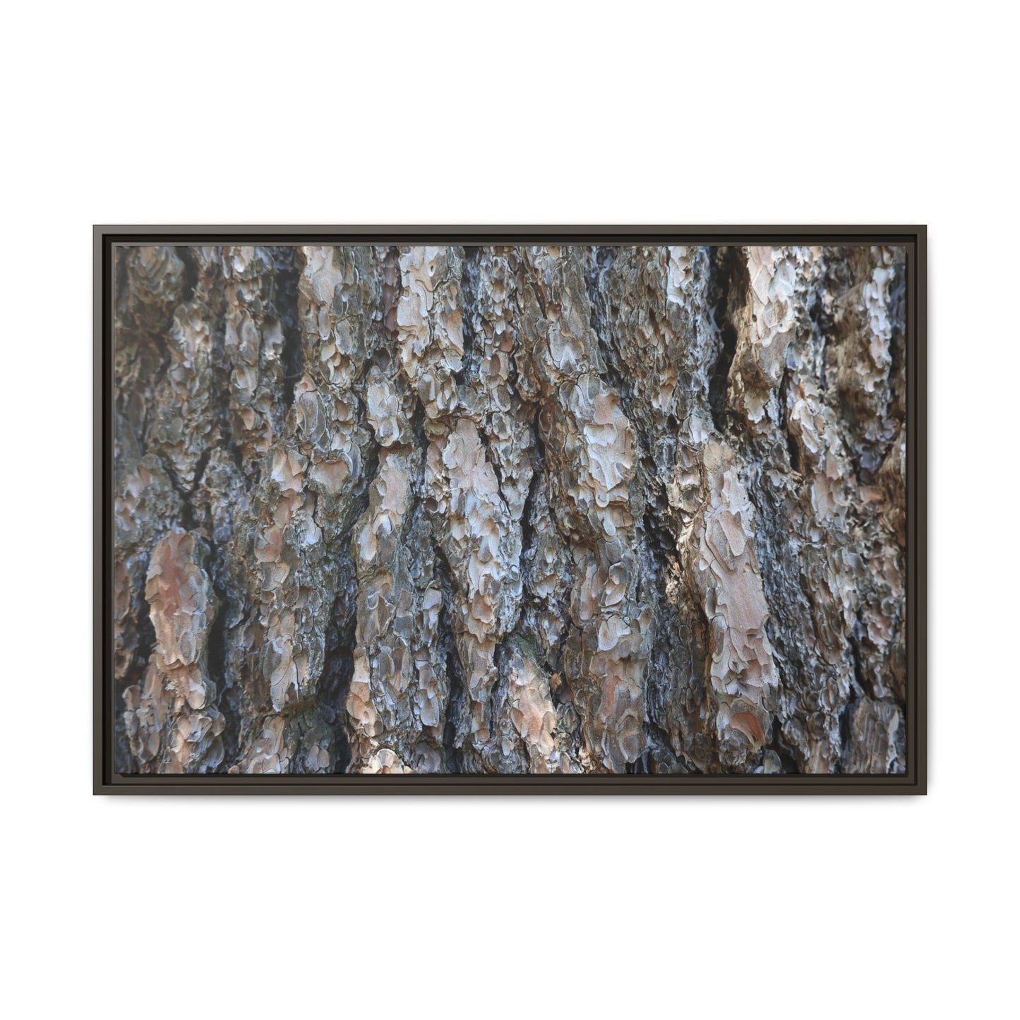 Bark Whispers - Unique Stretched Canvas Wall Art