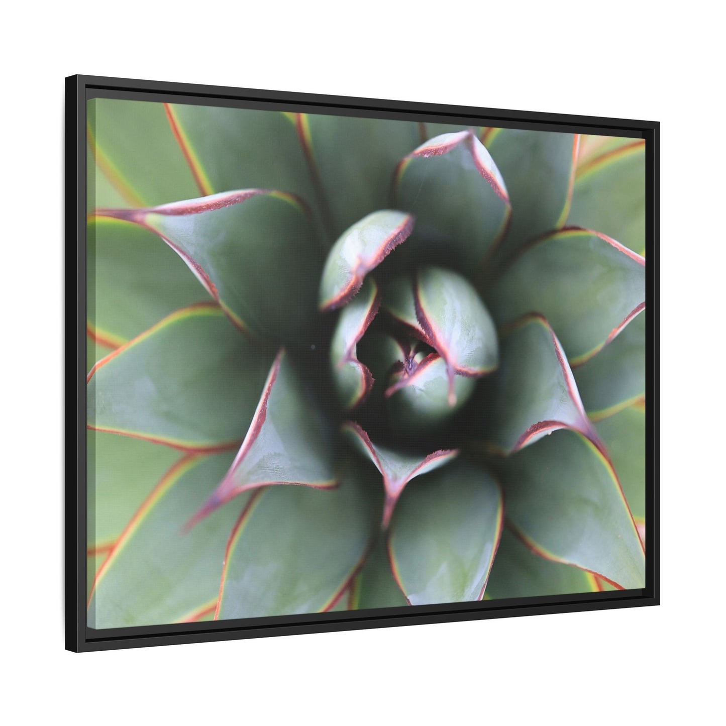 Spiky Elegance - Unique Stretched Canvas Wall Art