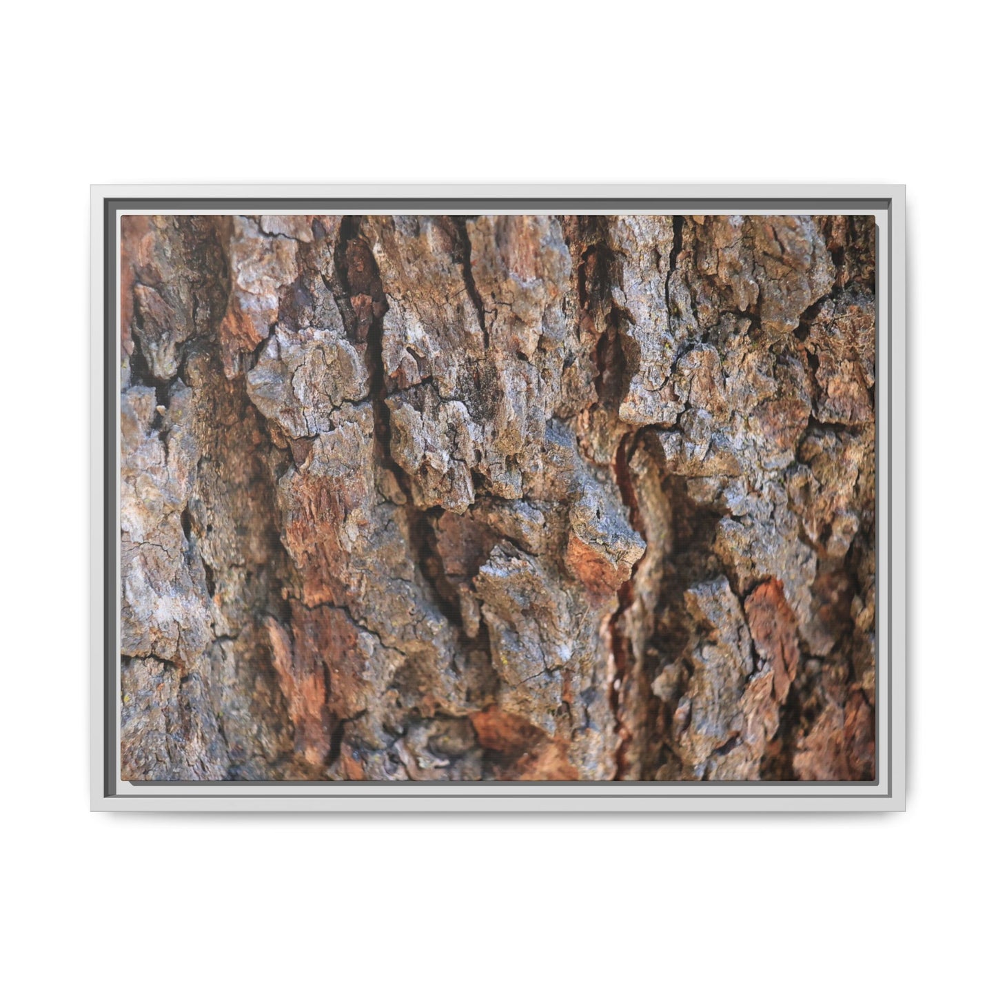 Craggy Textures - Unique Stretched Canvas Wall Art