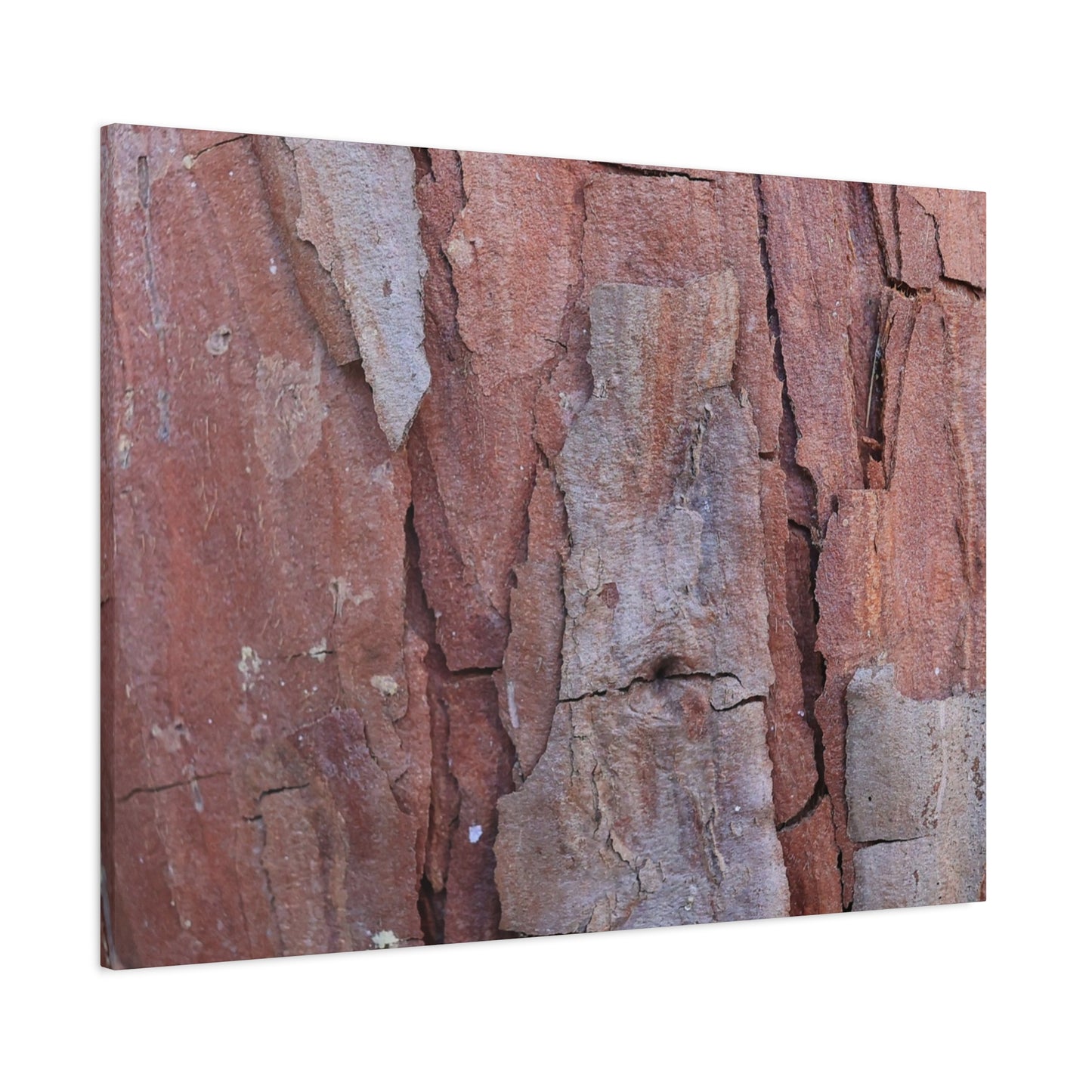 Fractal Rust - Unique Frameless Canvas Wall Art