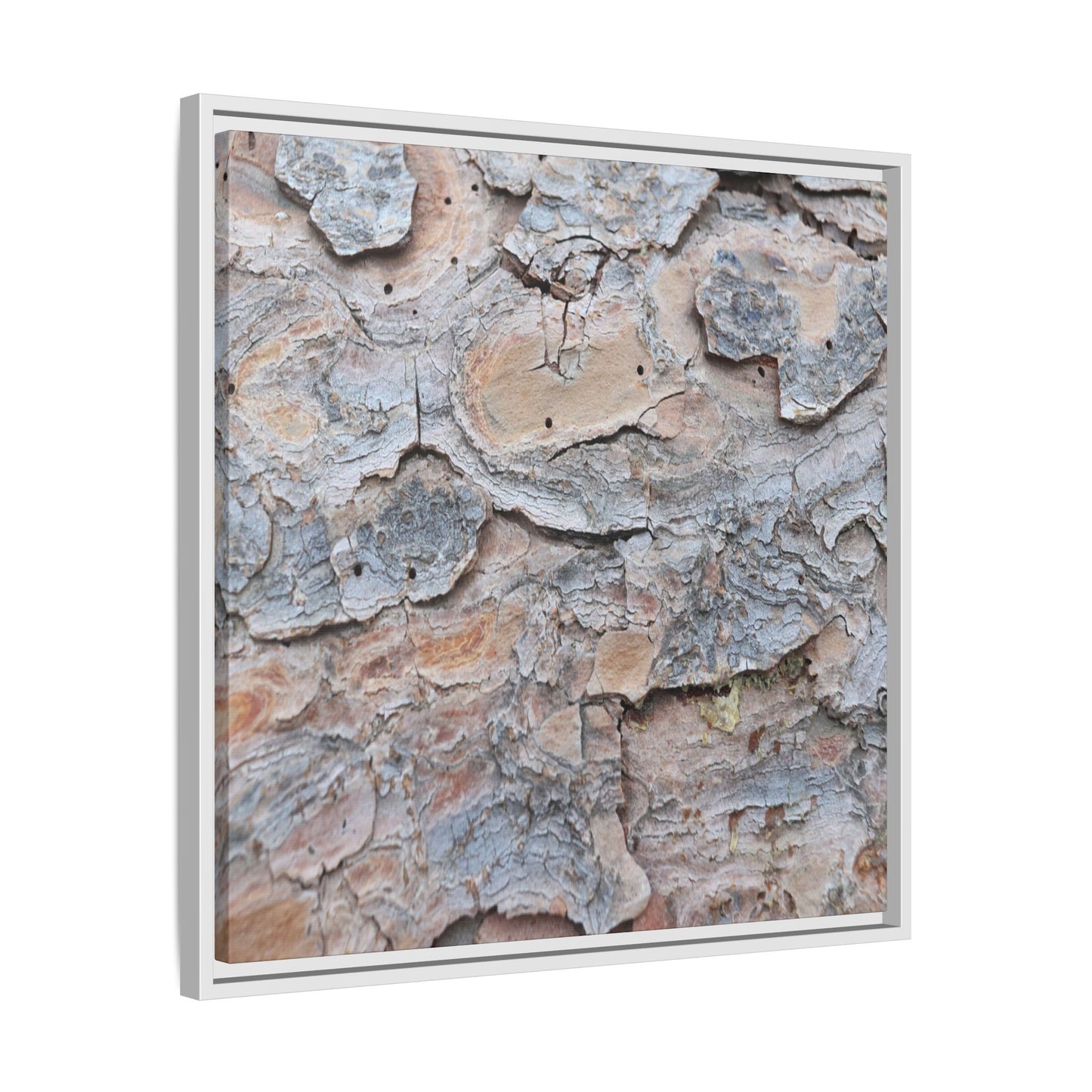 Peeling Memories - Unique Stretched Canvas Wall Art