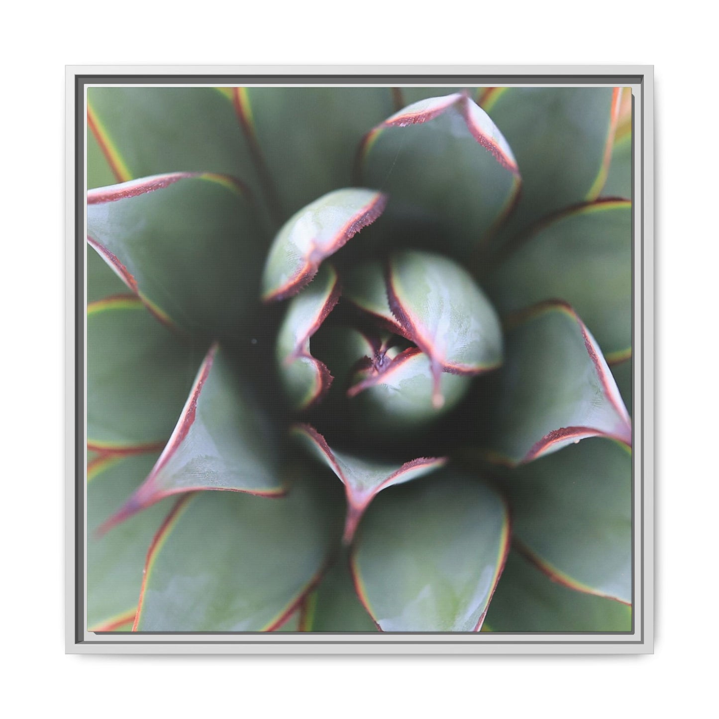 Spiky Elegance - Unique Stretched Canvas Wall Art