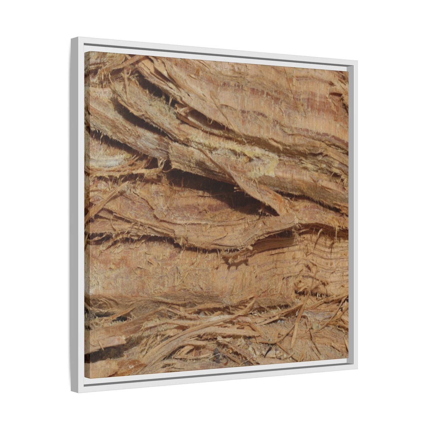 Splintered Bark - Unique Stretched Canvas Wall Art