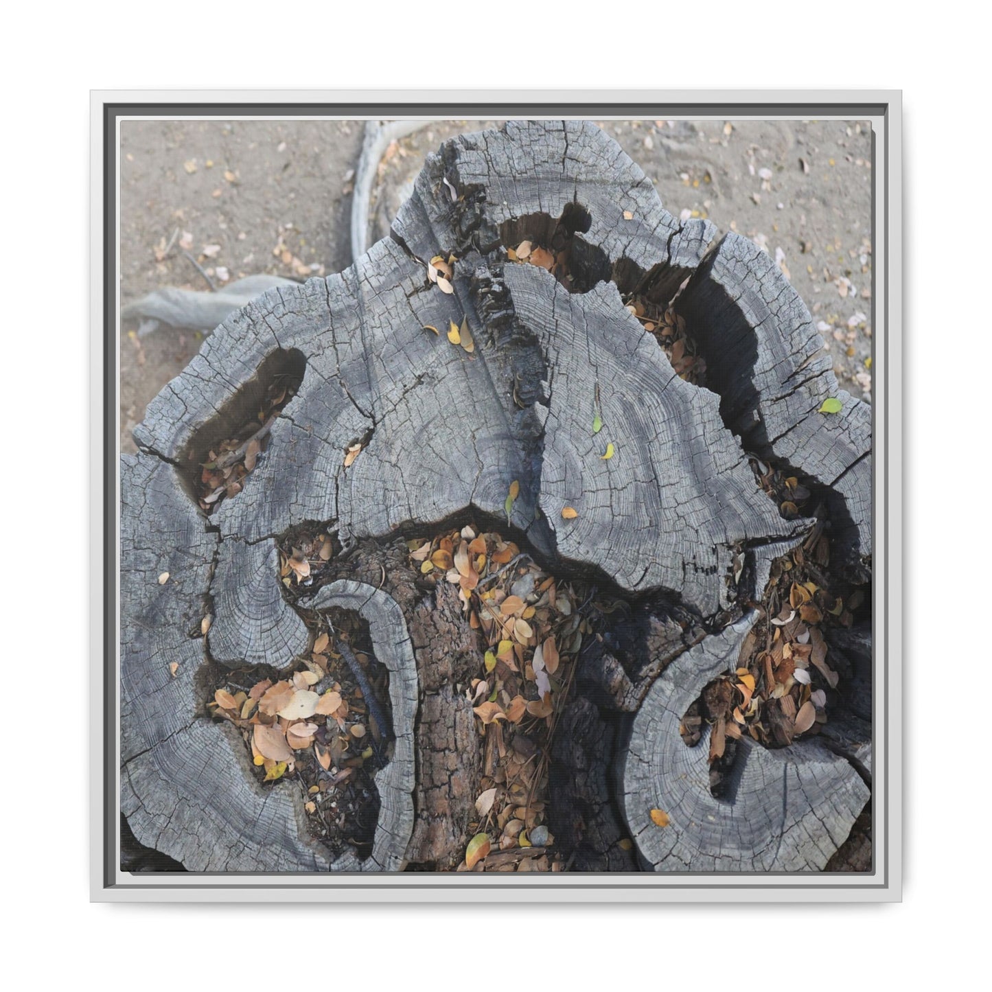 Time's Fractal Memory - Unique Stretched Canvas Wall Art