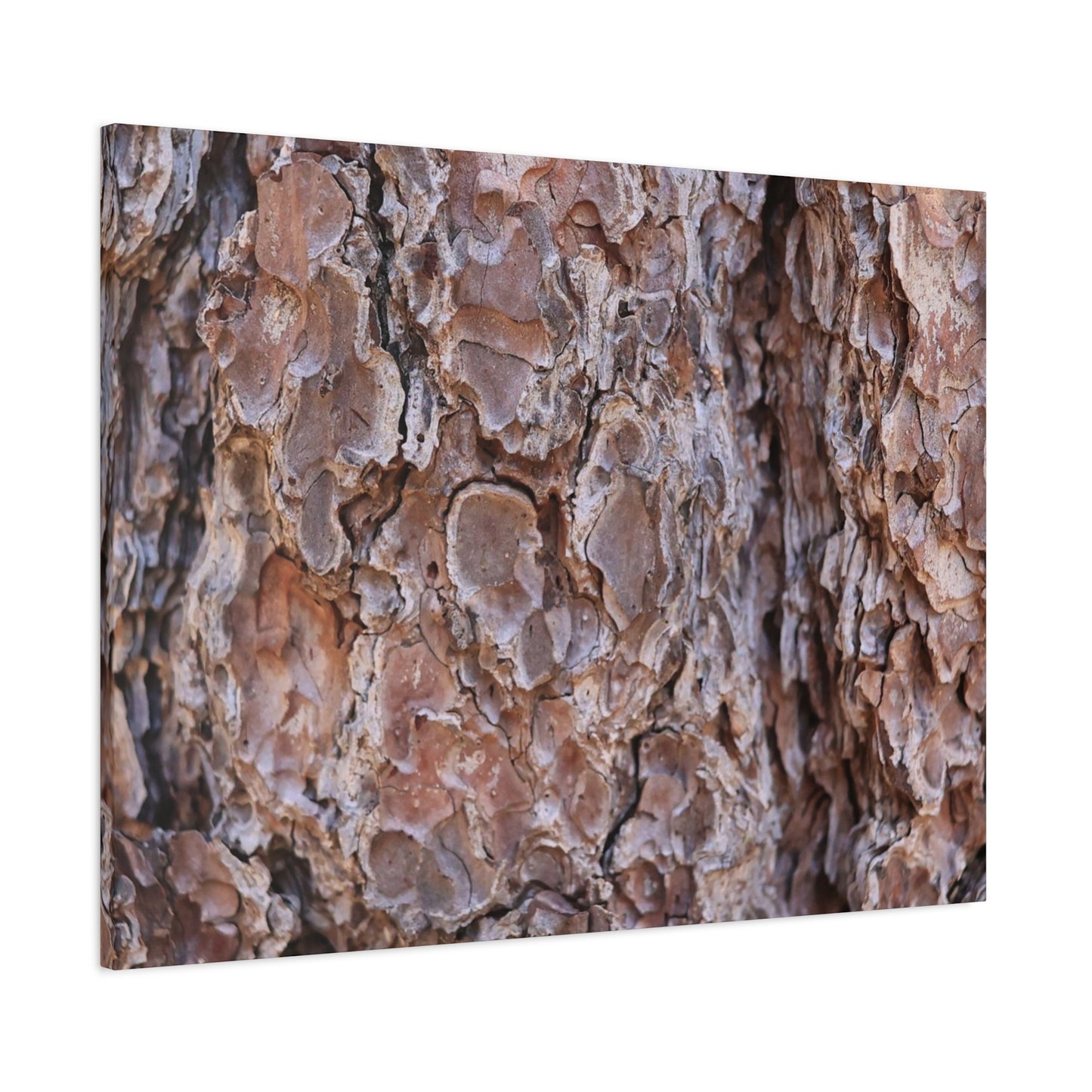 Rugged Bark Landscape - Unique Frameless Canvas Wall Art