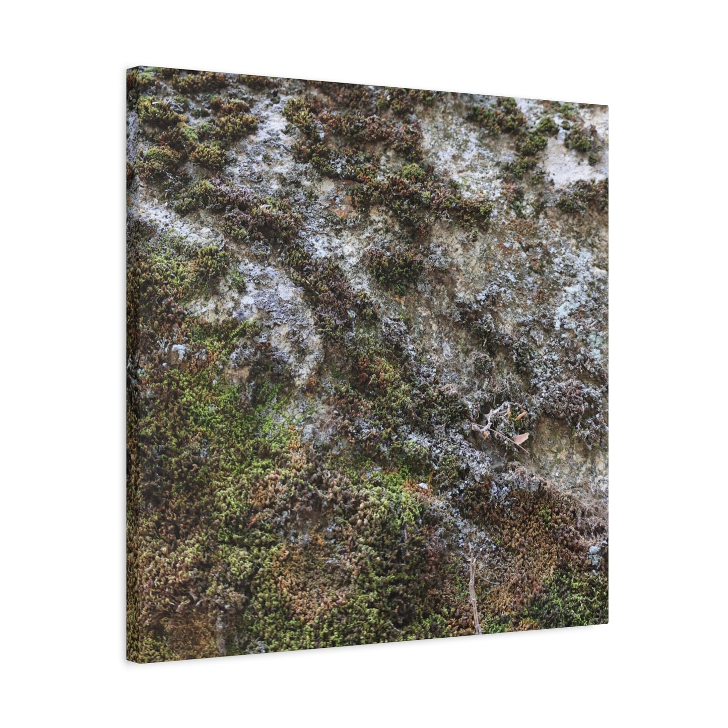 Moss Tapestry - Unique Frameless Canvas Wall Art