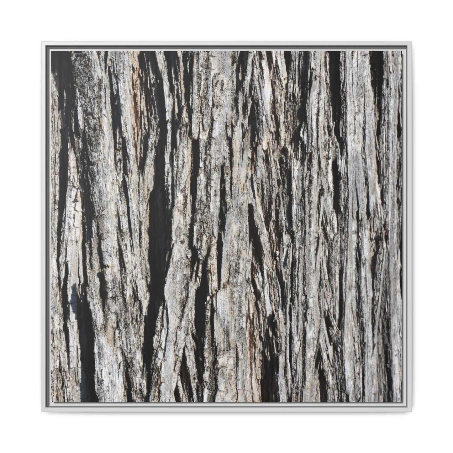 Nature's Abstract - Unique Stretched Canvas Wall Art