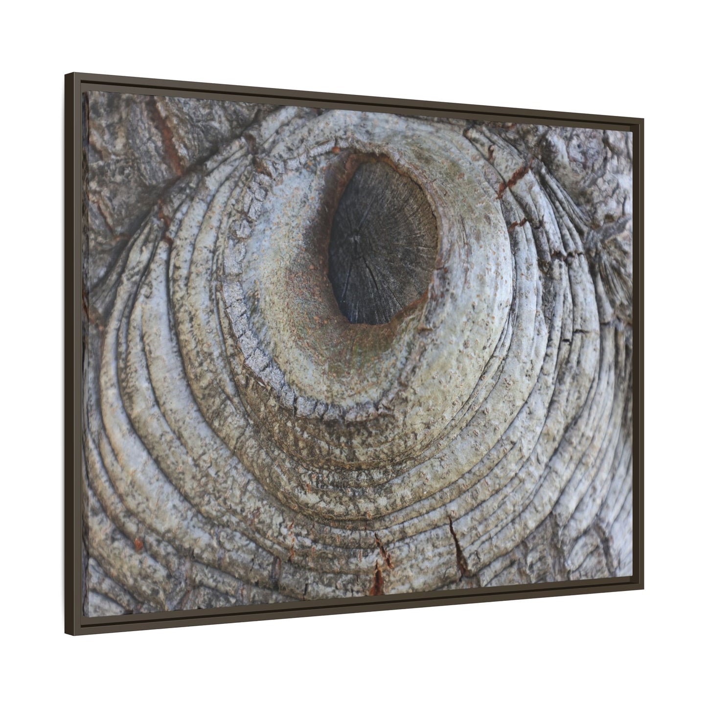 Echoes of Time - Unique Stretched Canvas Wall Art