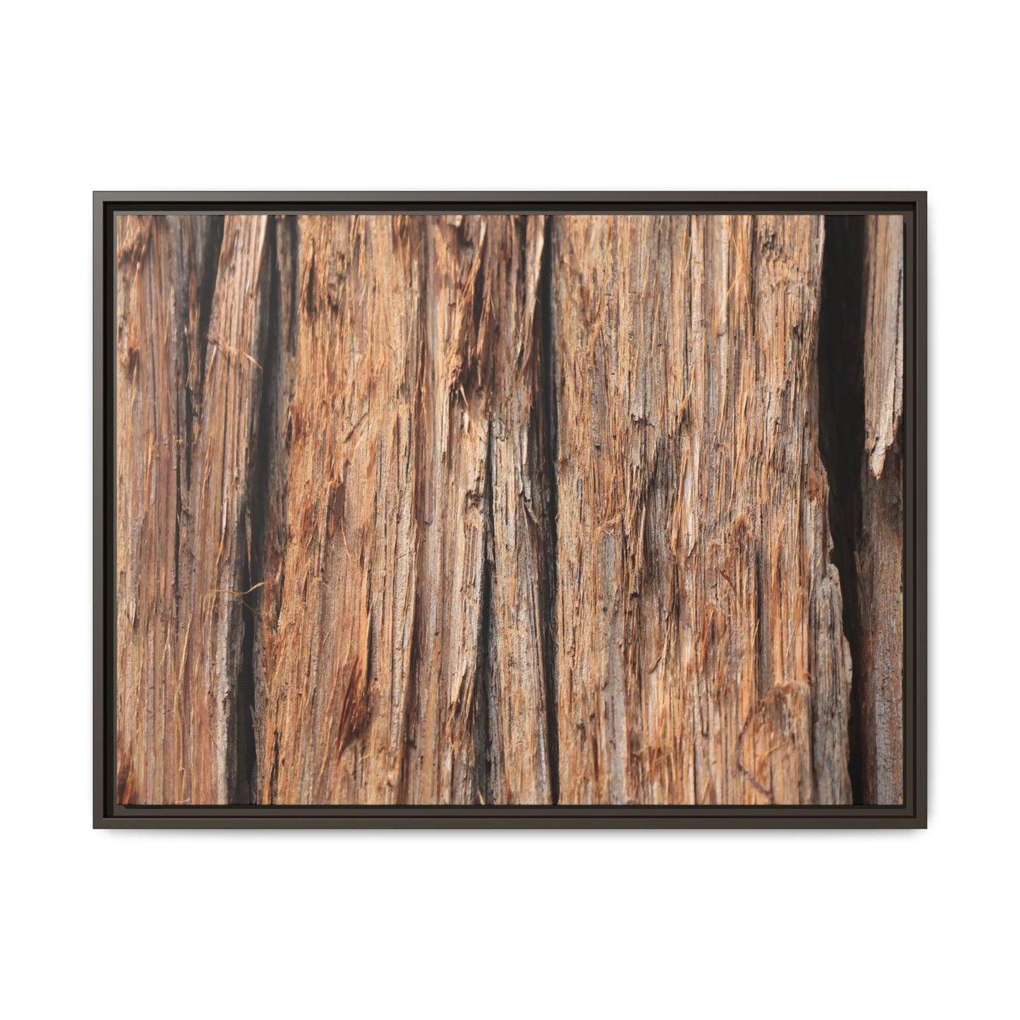 Timber Echoes - Unique Stretched Canvas Wall Art