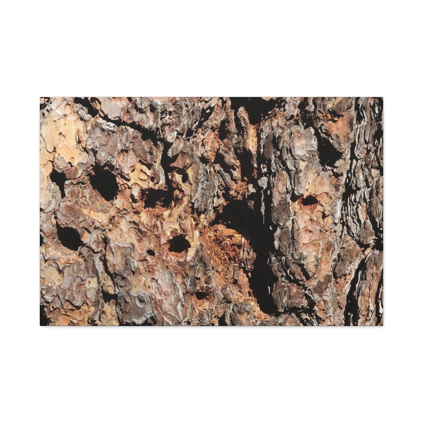 Tree Bark Mosaic - Unique Frameless Canvas Wall Art