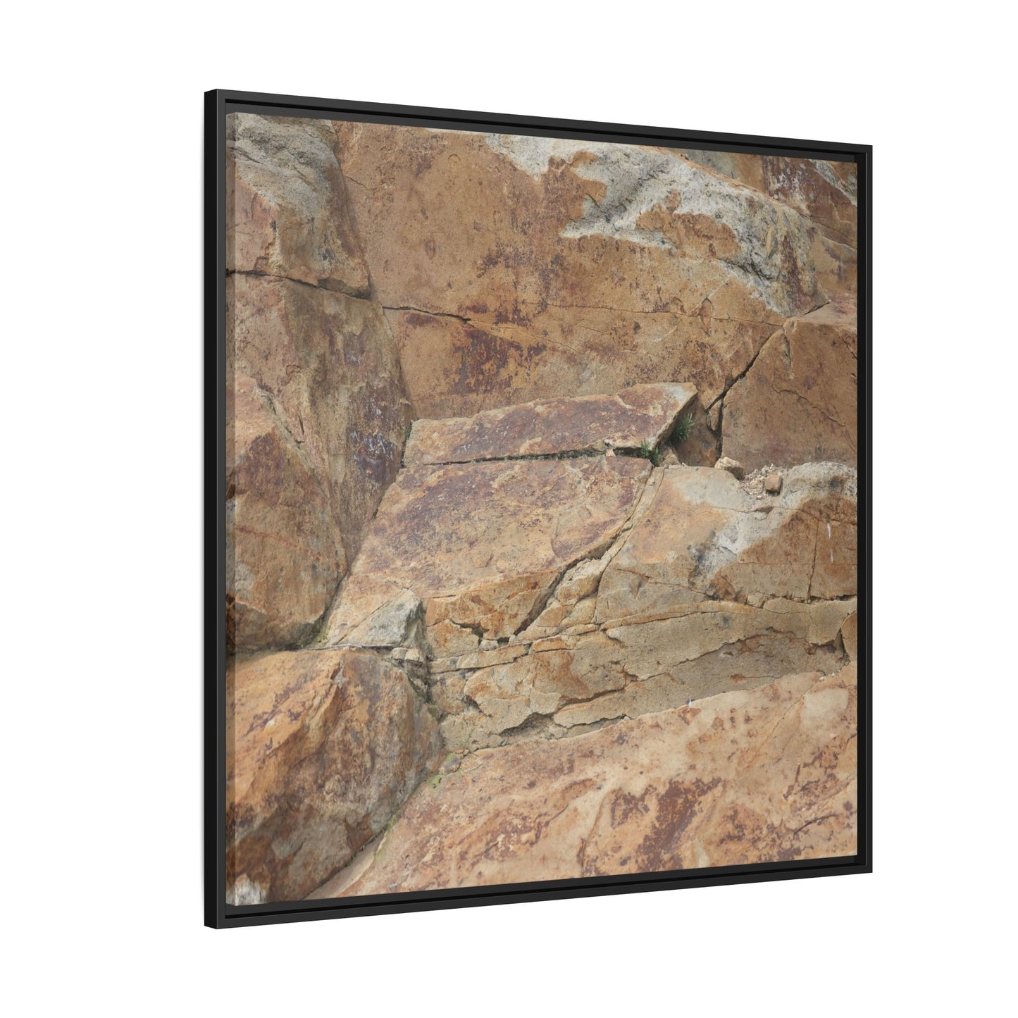 Ancient Foundations - Unique Stretched Canvas Wall Art