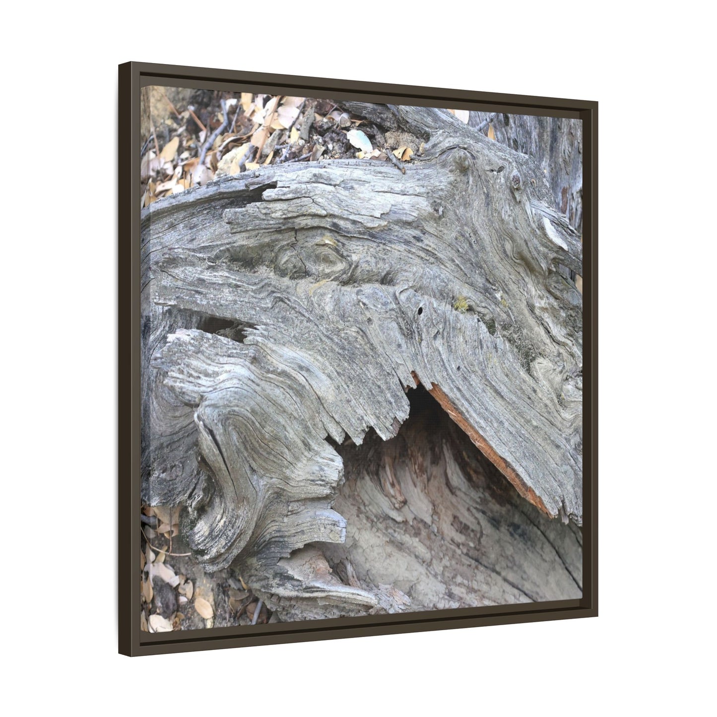 Driftwood Dreams - Unique Stretched Canvas Wall Art