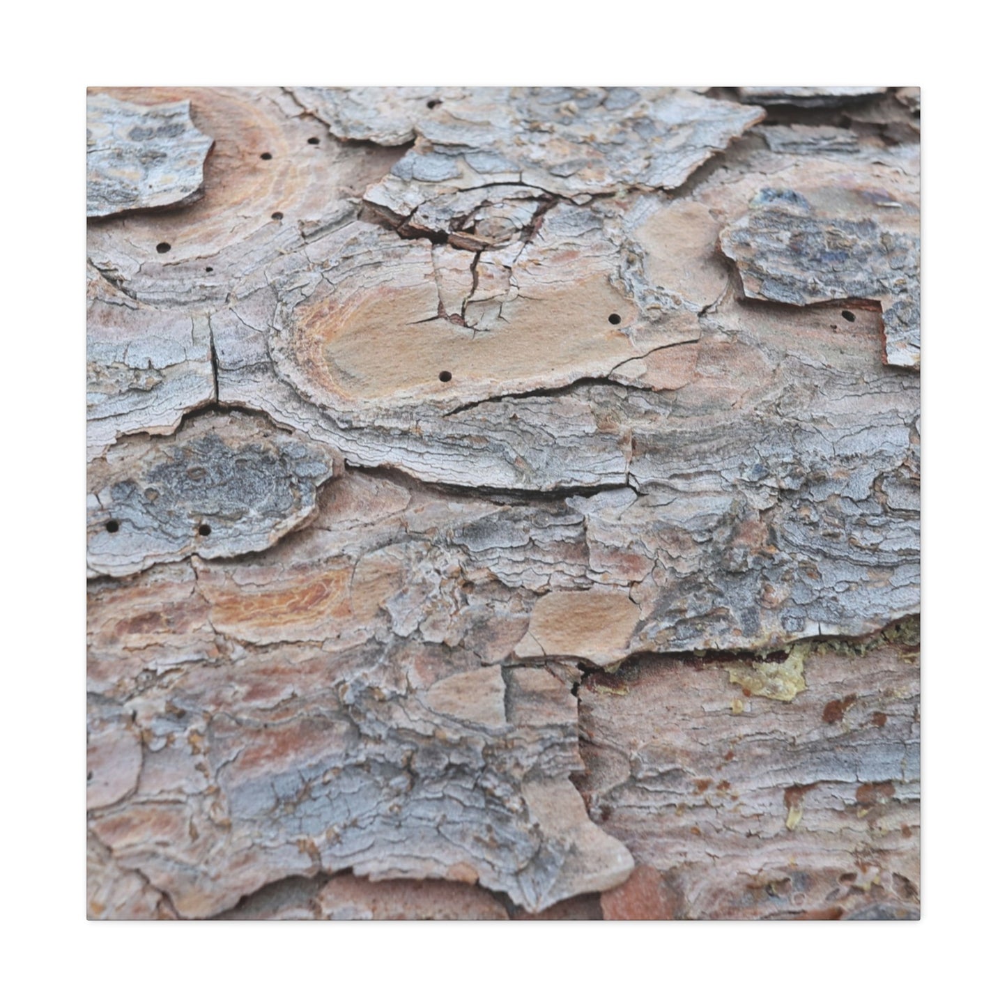 Textural Geology - Unique Frameless Canvas Wall Art