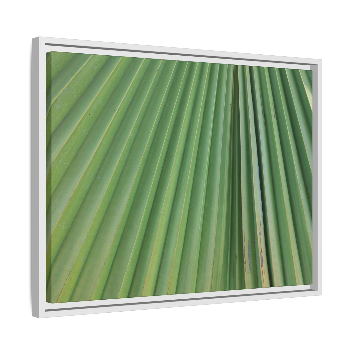 Emerald Rays - Unique Stretched Canvas Wall Art