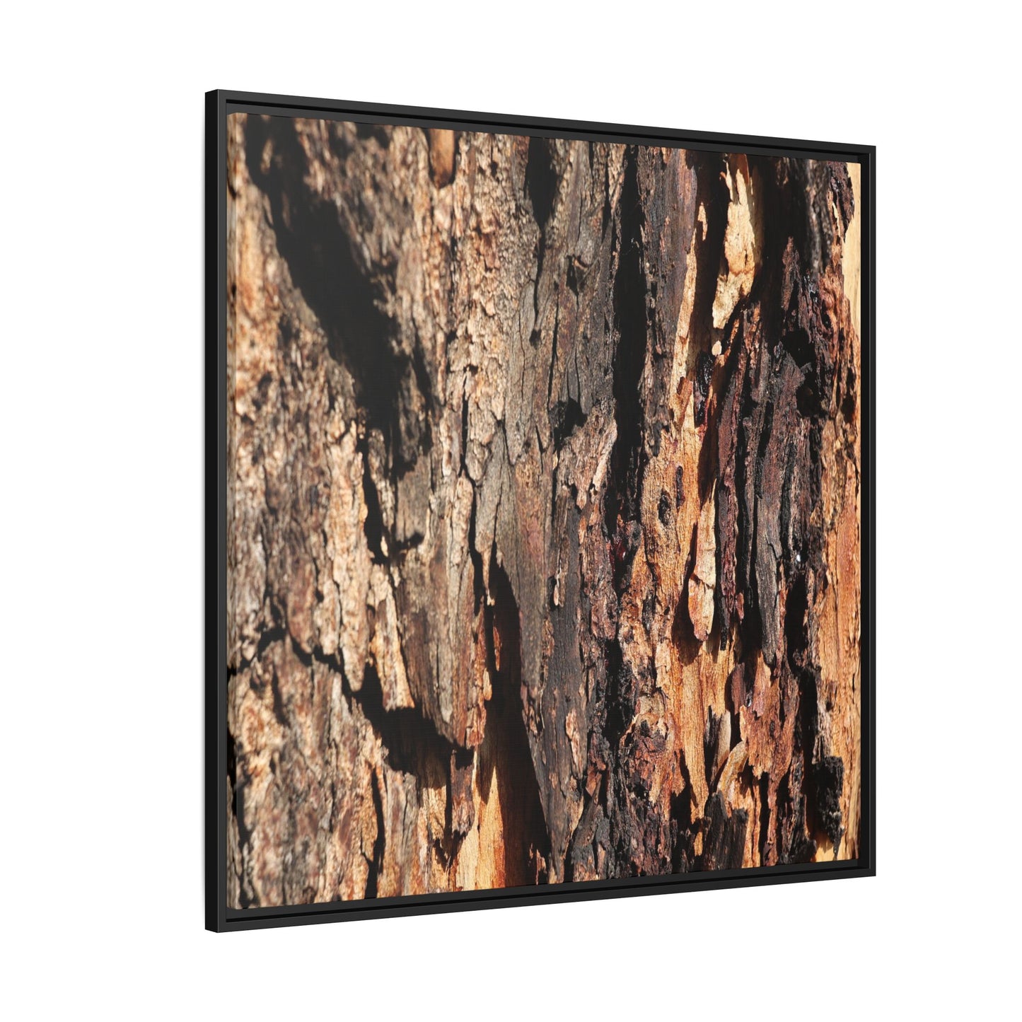 Rugged Beauty - Unique Stretched Canvas Wall Art