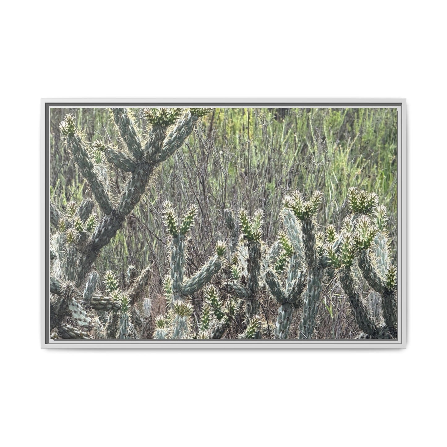 Prickly Paradise - Unique Stretched Canvas Wall Art