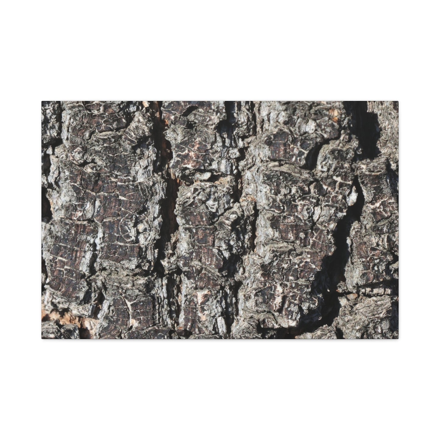 Cracked Skin of Earth - Unique Frameless Canvas Wall Art