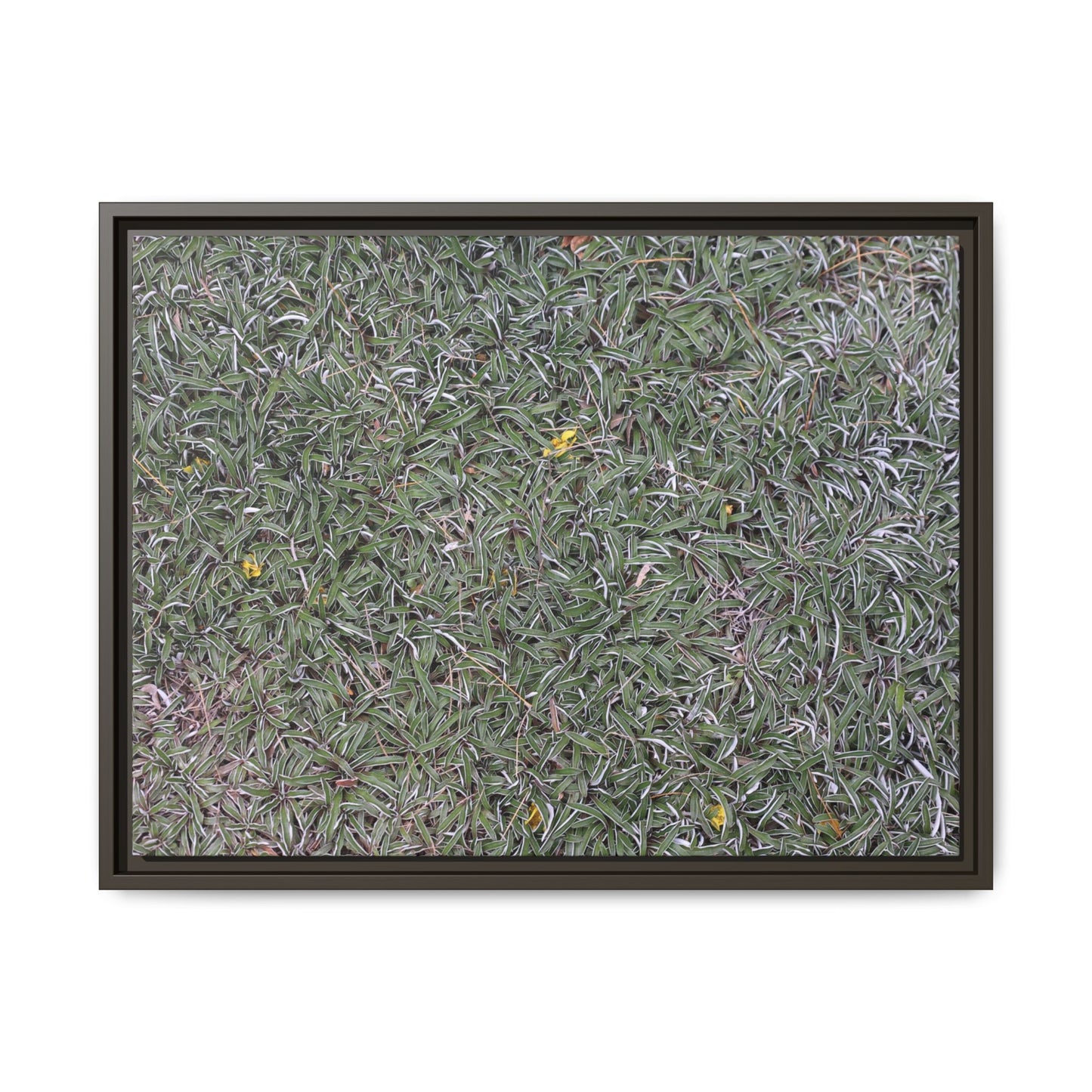 Grassy Texture - Unique Stretched Canvas Wall Art