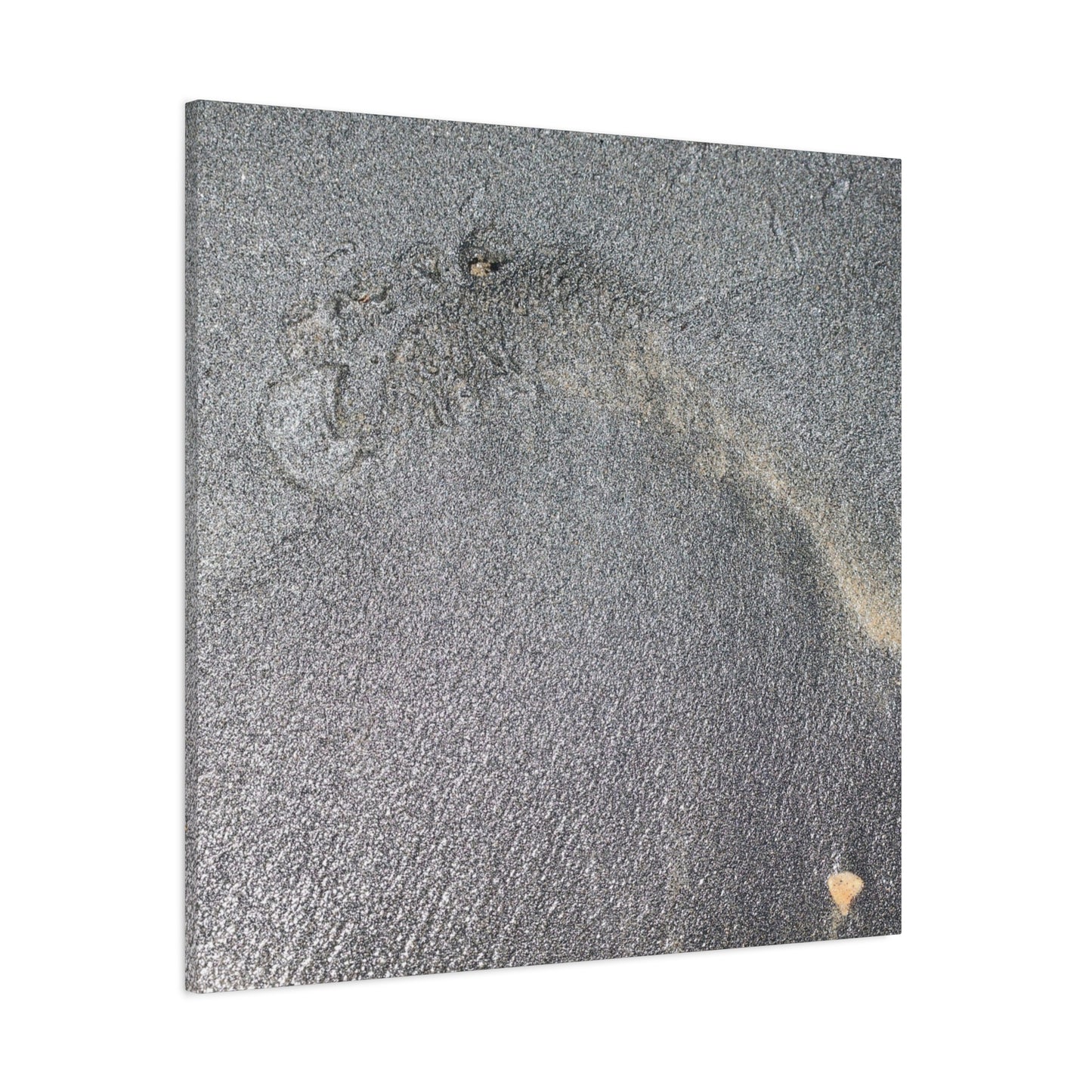 Ephemeral Whispers of Granite - Unique Frameless Canvas Wall Art