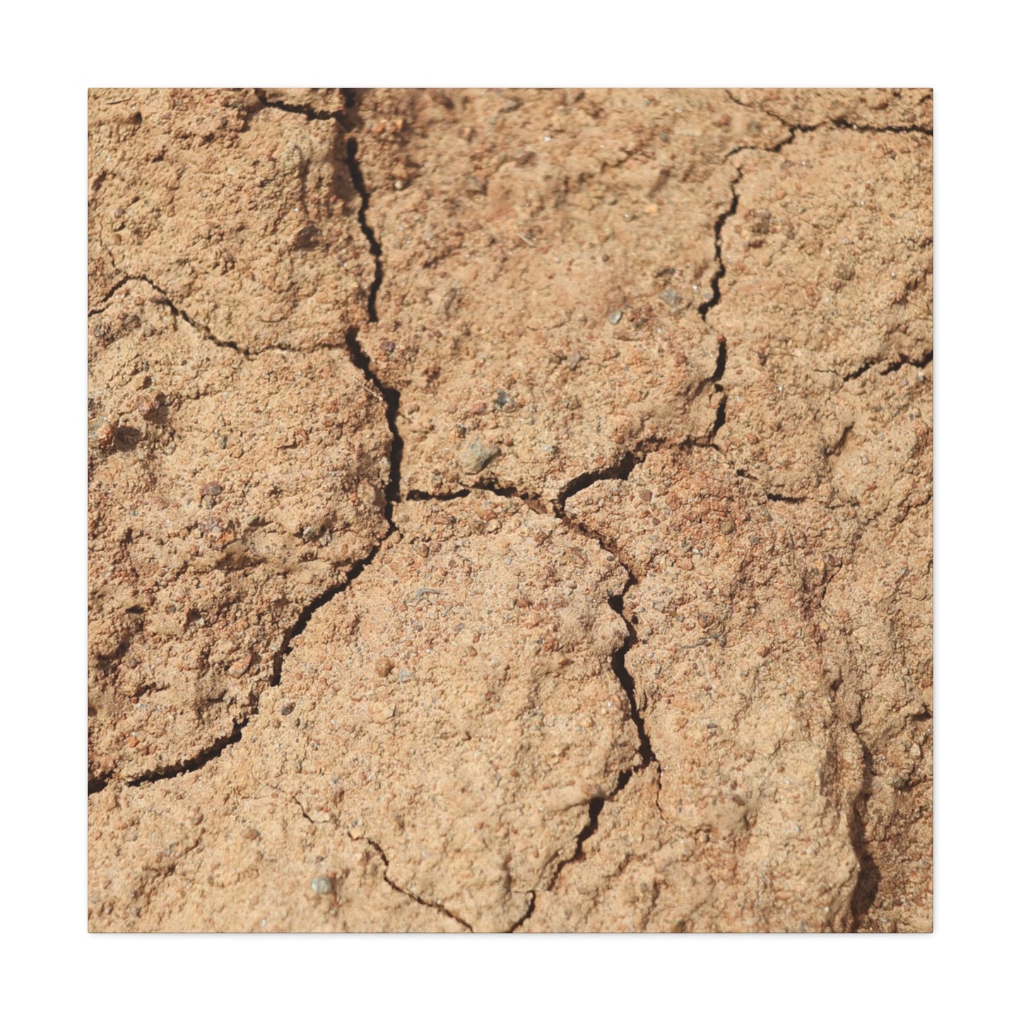 Cracked Earth's Lament - Unique Frameless Canvas Wall Art