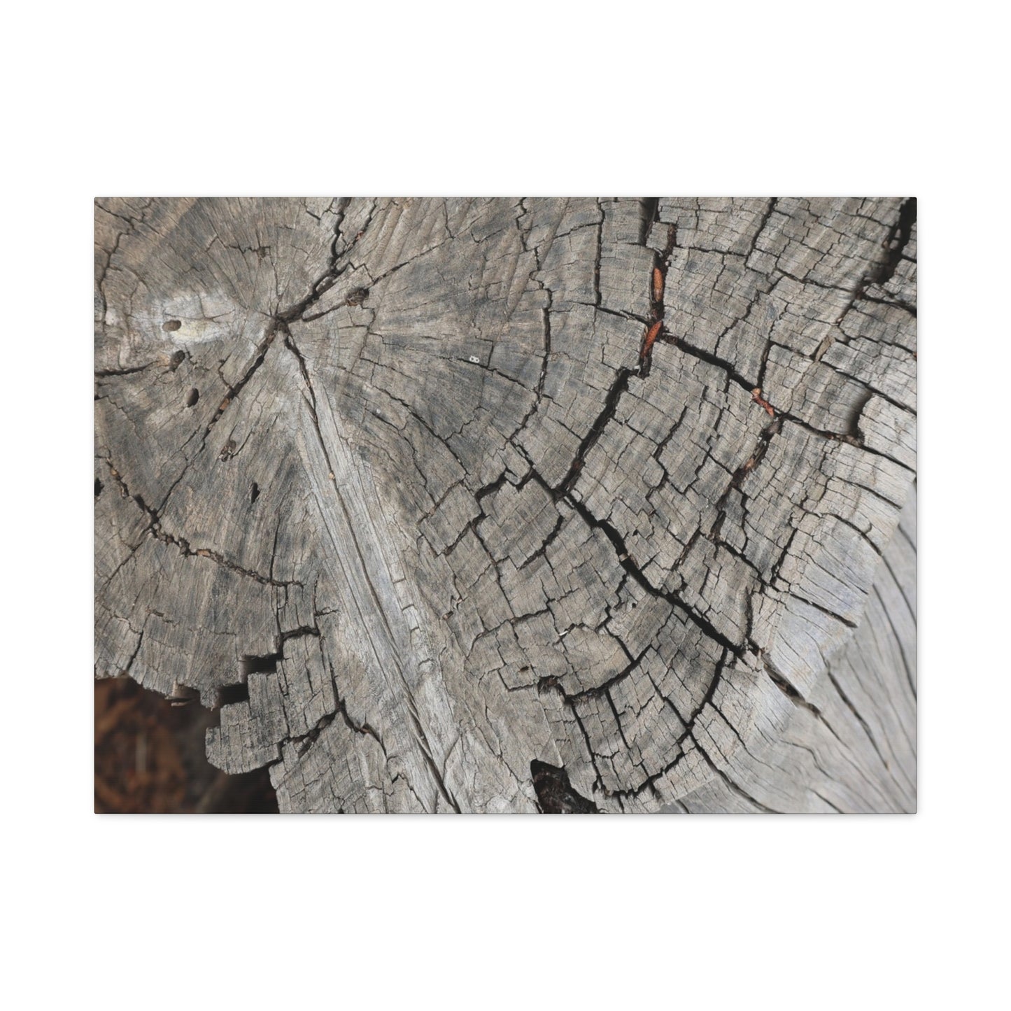 Cracked Memories - Unique Frameless Canvas Wall Art