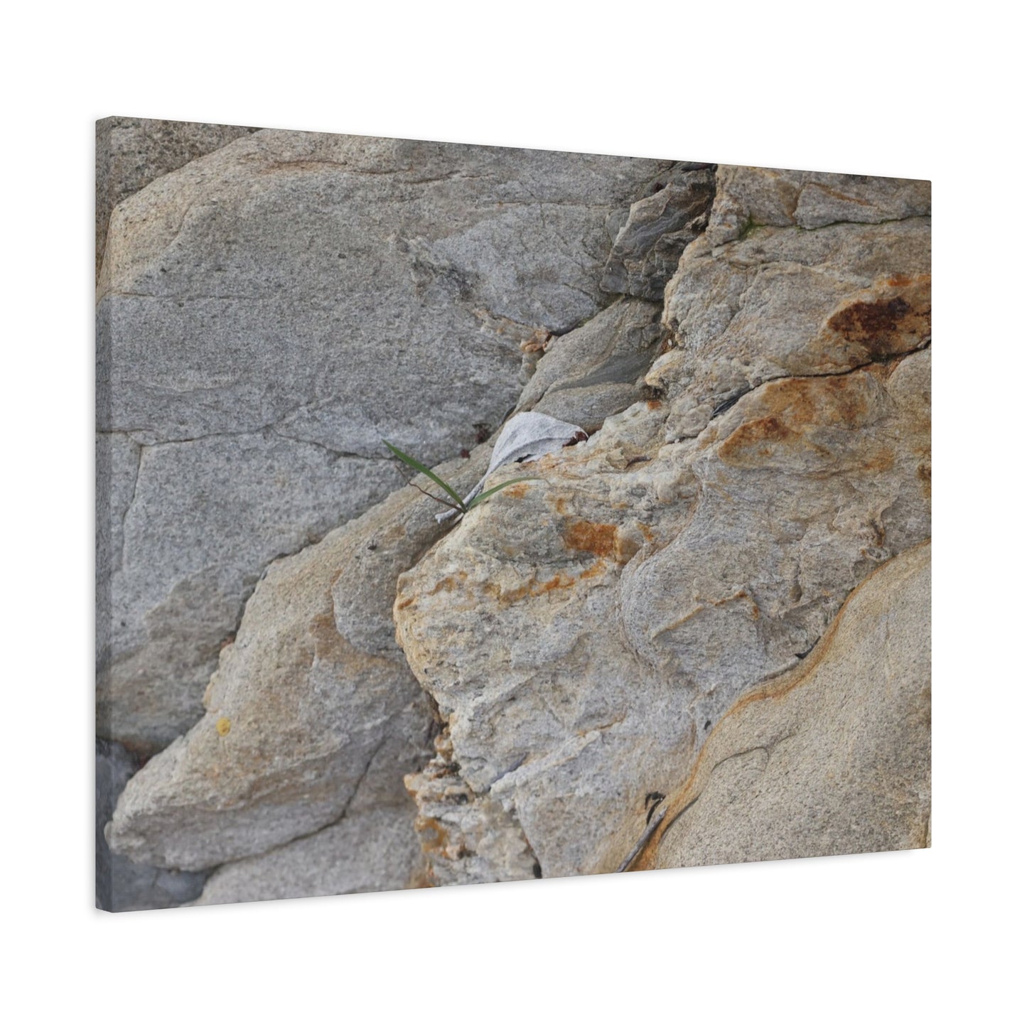 Fractal Earth - Unique Frameless Canvas Wall Art