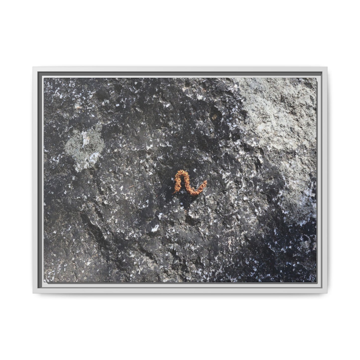 Volcanic Ash and Copper - Unique Stretched Canvas Wall Art