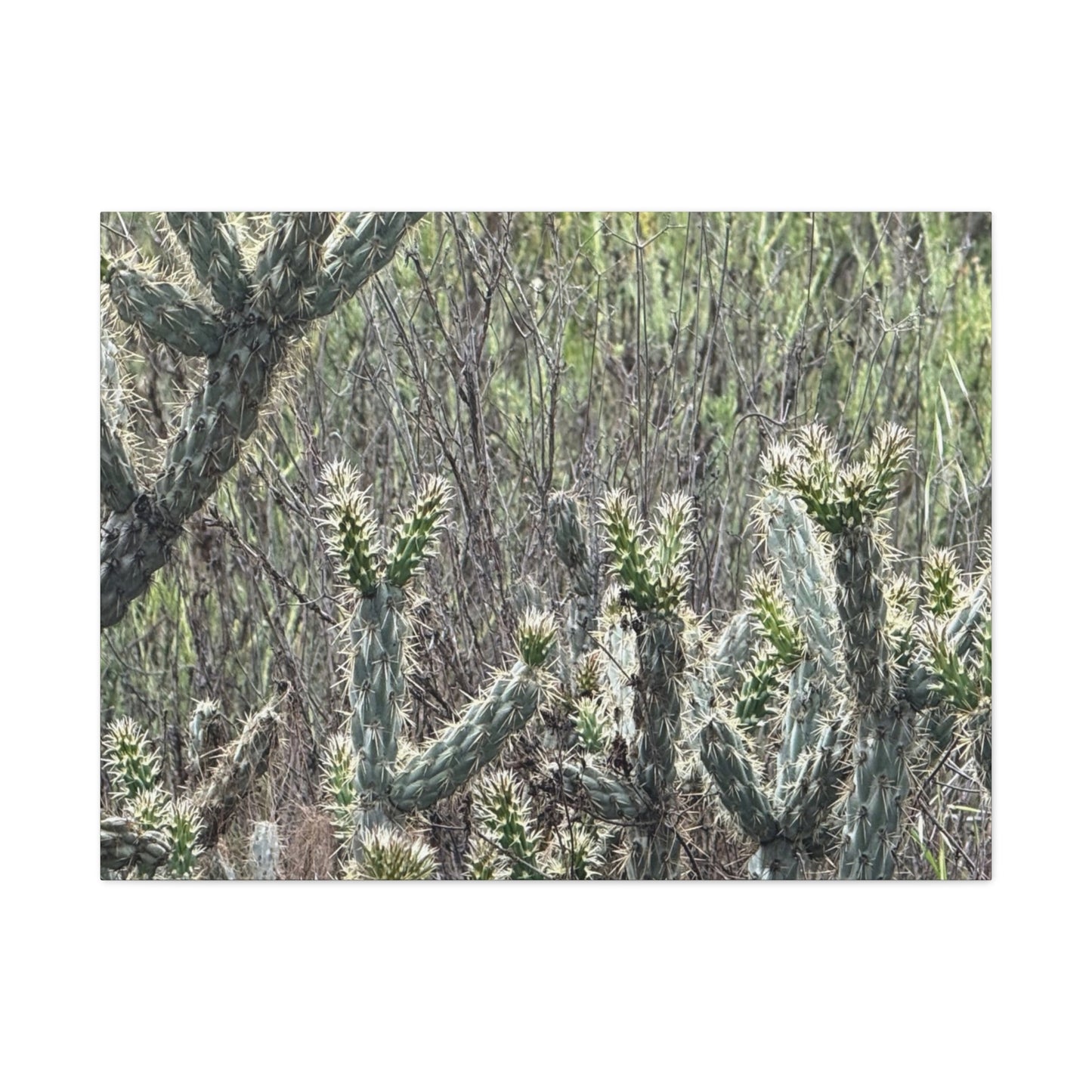 Spiny Sentinels - Unique Frameless Canvas Wall Art
