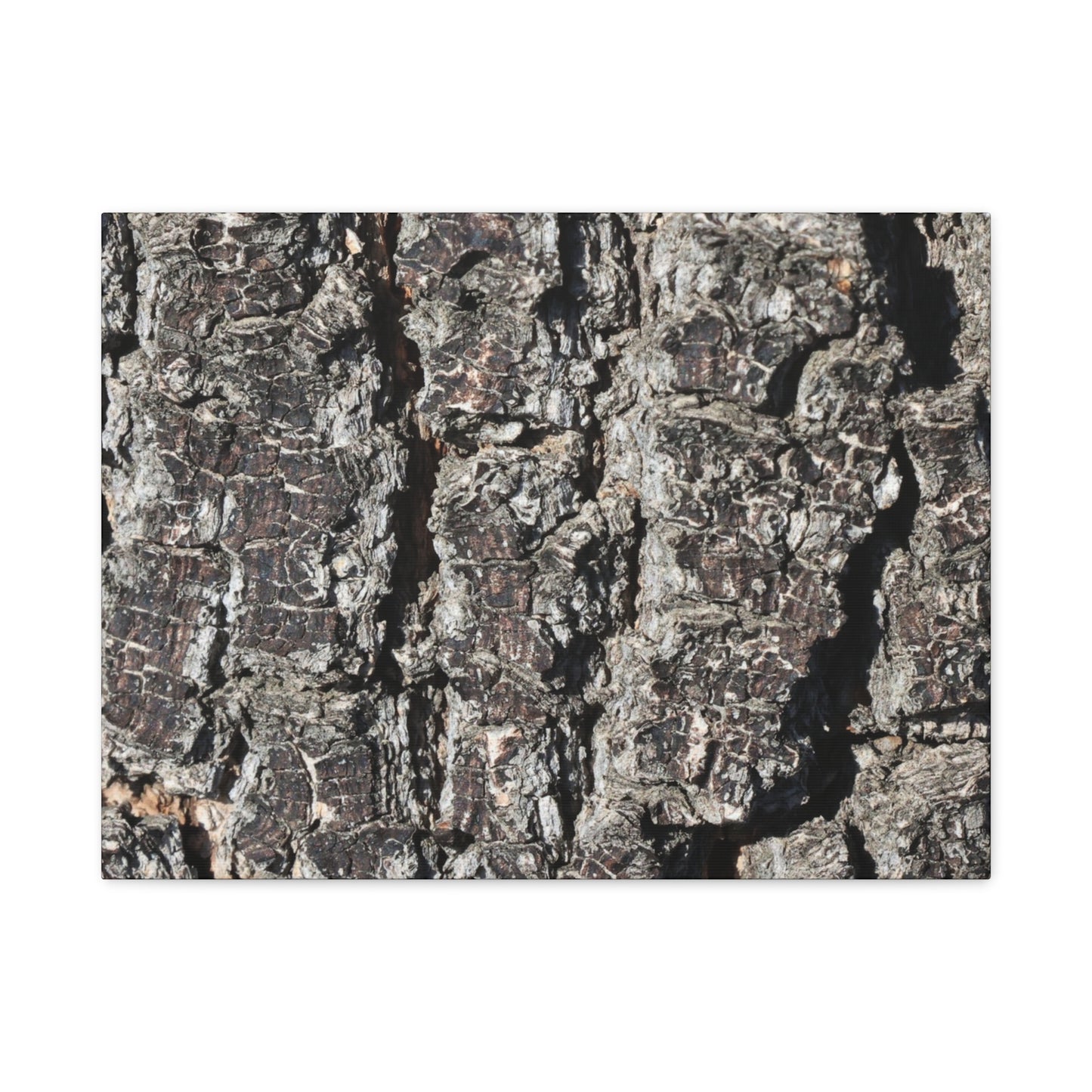 Cracked Skin of Earth - Unique Frameless Canvas Wall Art