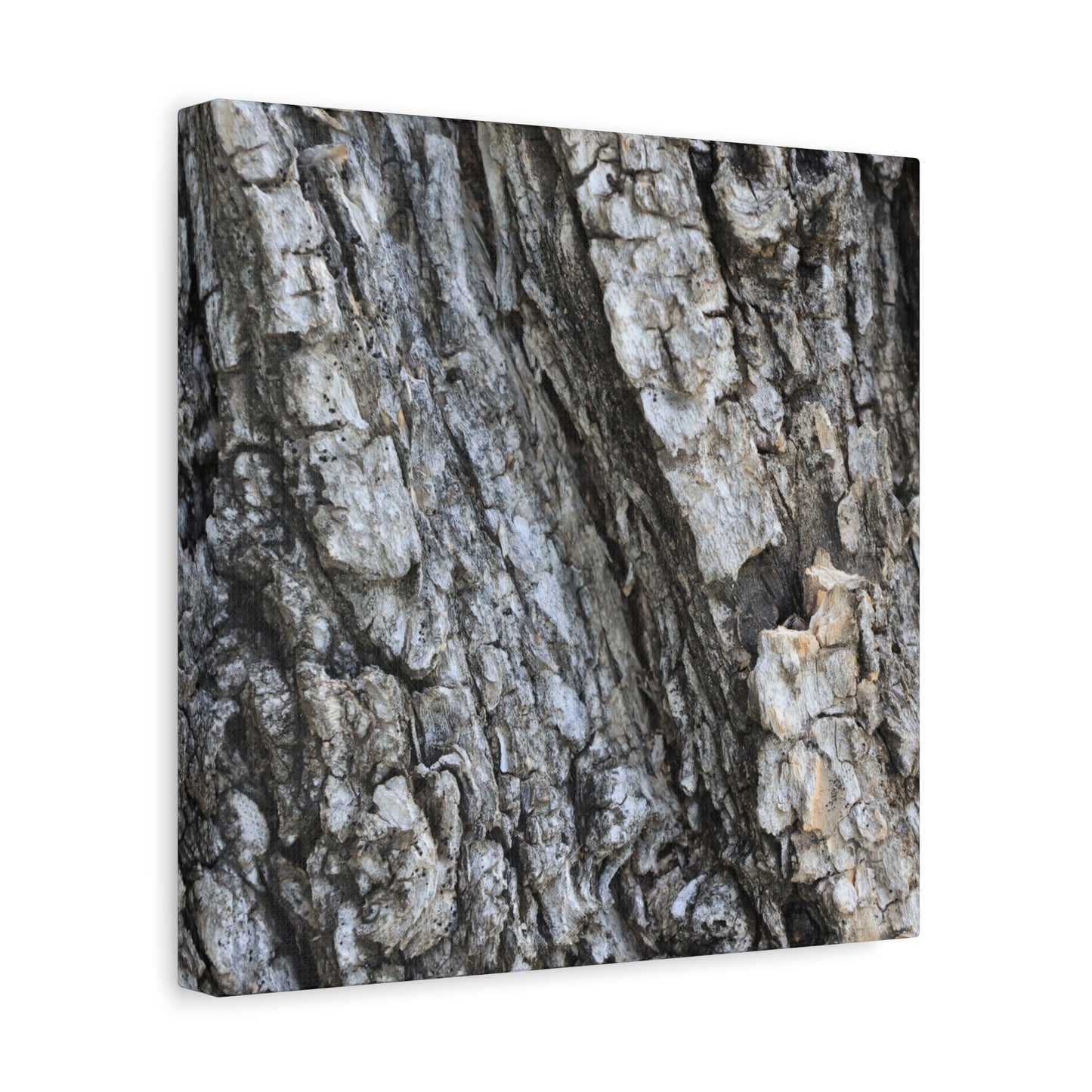 Nature's Rough Embrace - Unique Frameless Canvas Wall Art