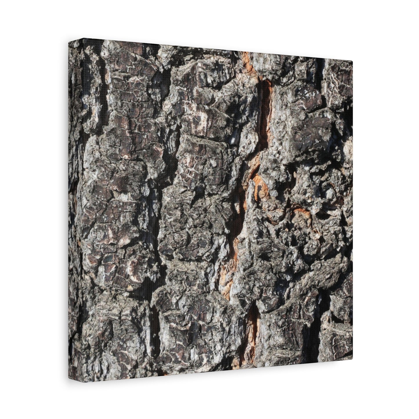 Arboreal Skin - Unique Frameless Canvas Wall Art