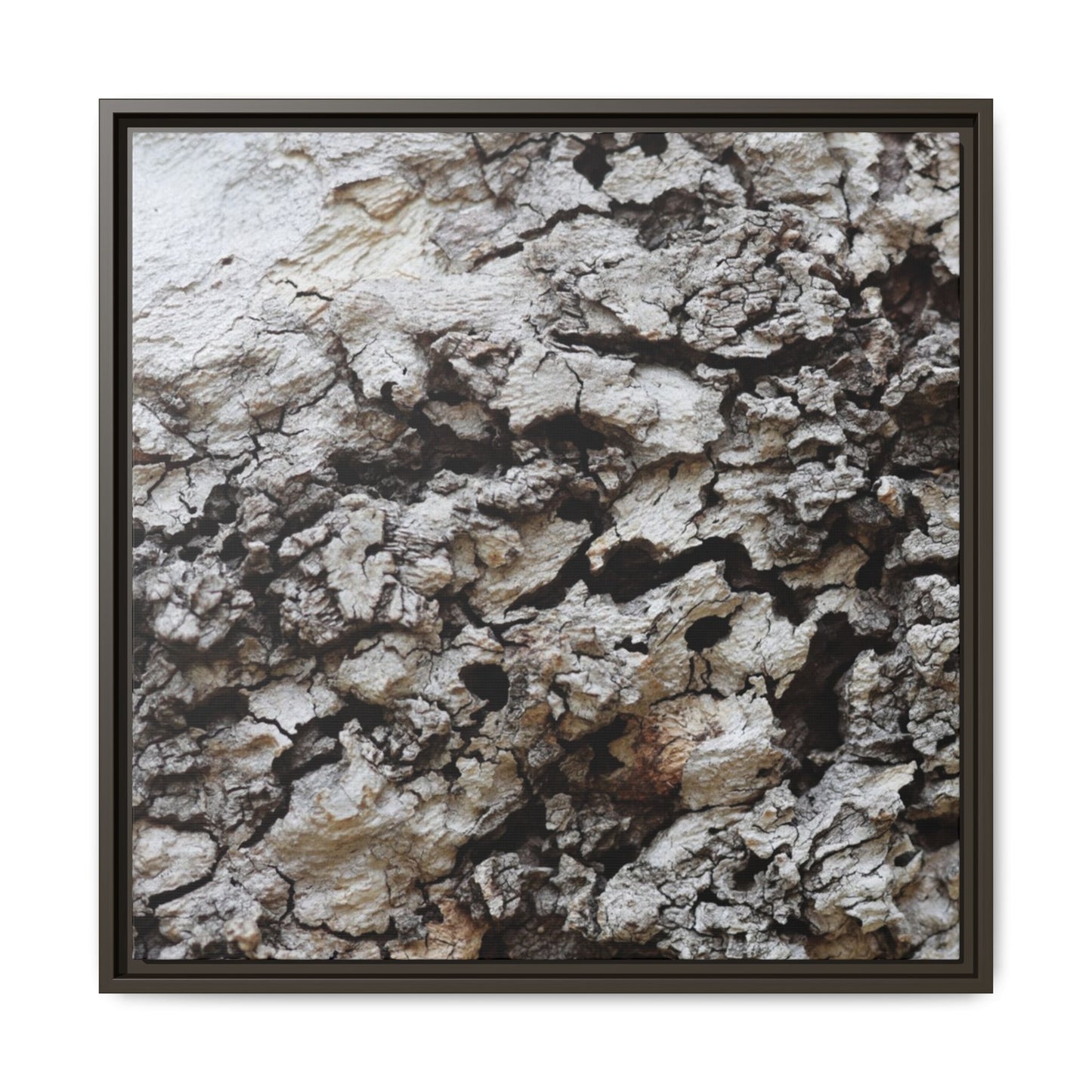 Cracked Terrain - Unique Stretched Canvas Wall Art