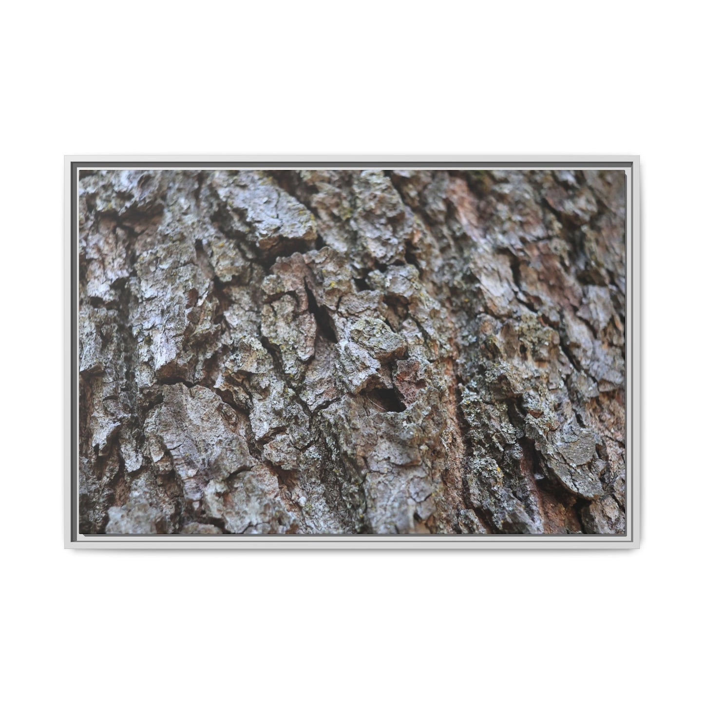 Woodland Canvas - Unique Stretched Canvas Wall Art