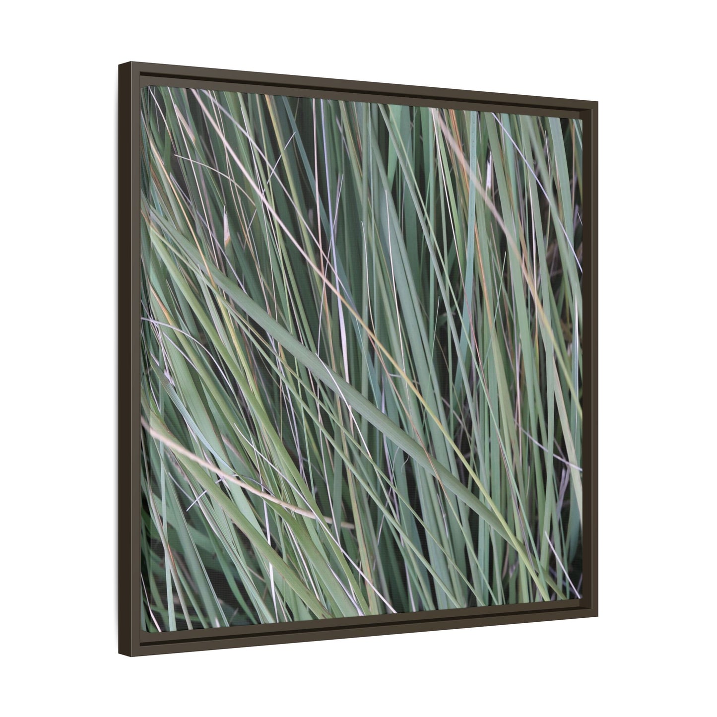 Grassland Symphony - Unique Stretched Canvas Wall Art