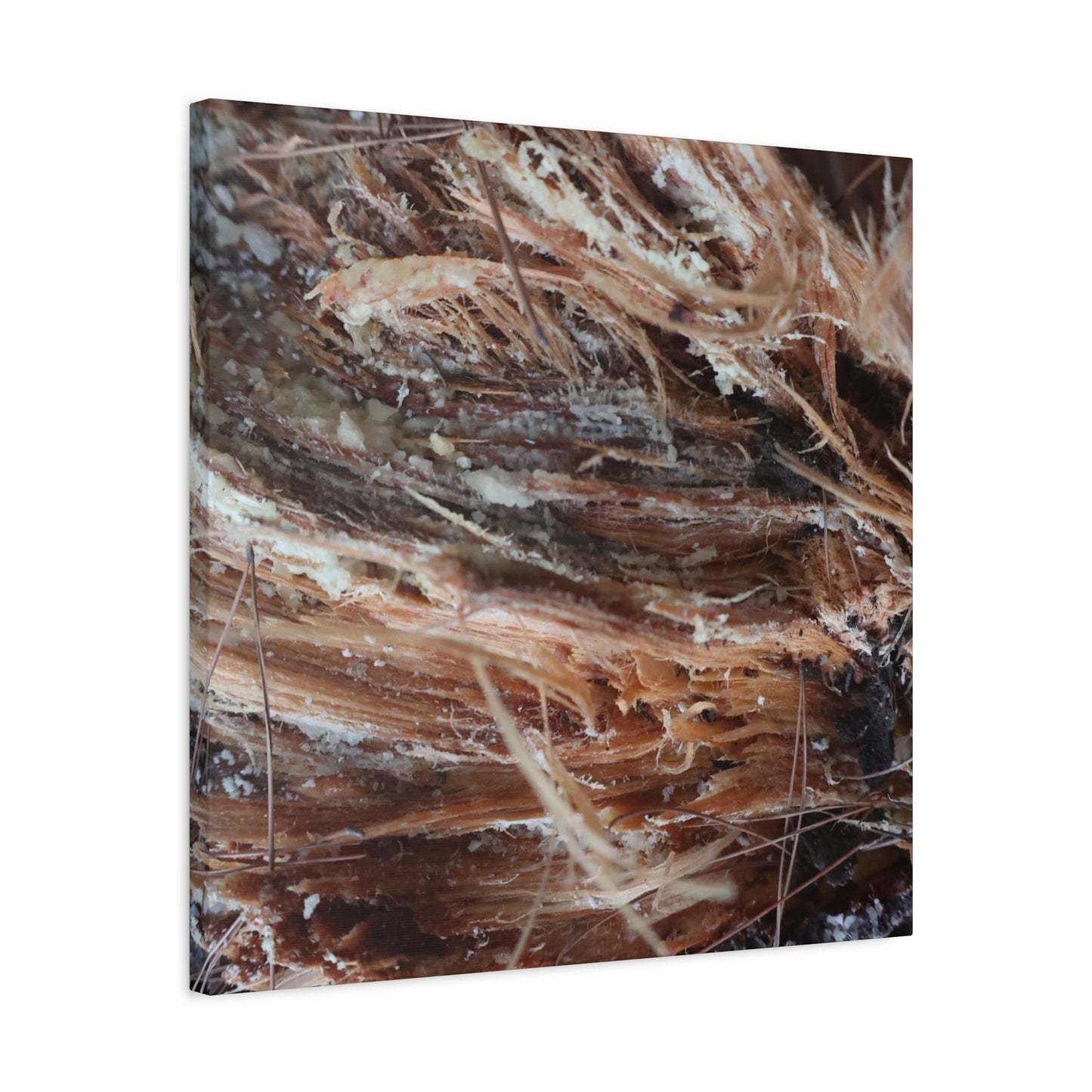 Decaying Whispers - Unique Frameless Canvas Wall Art