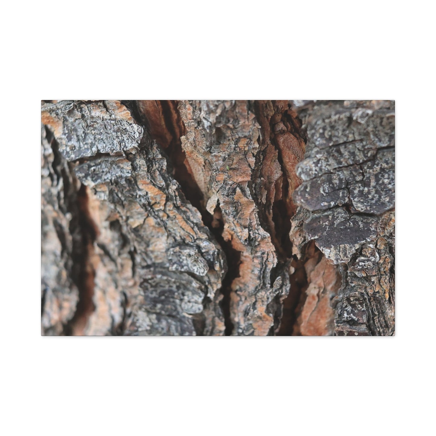 Rough Whispers - Unique Frameless Canvas Wall Art