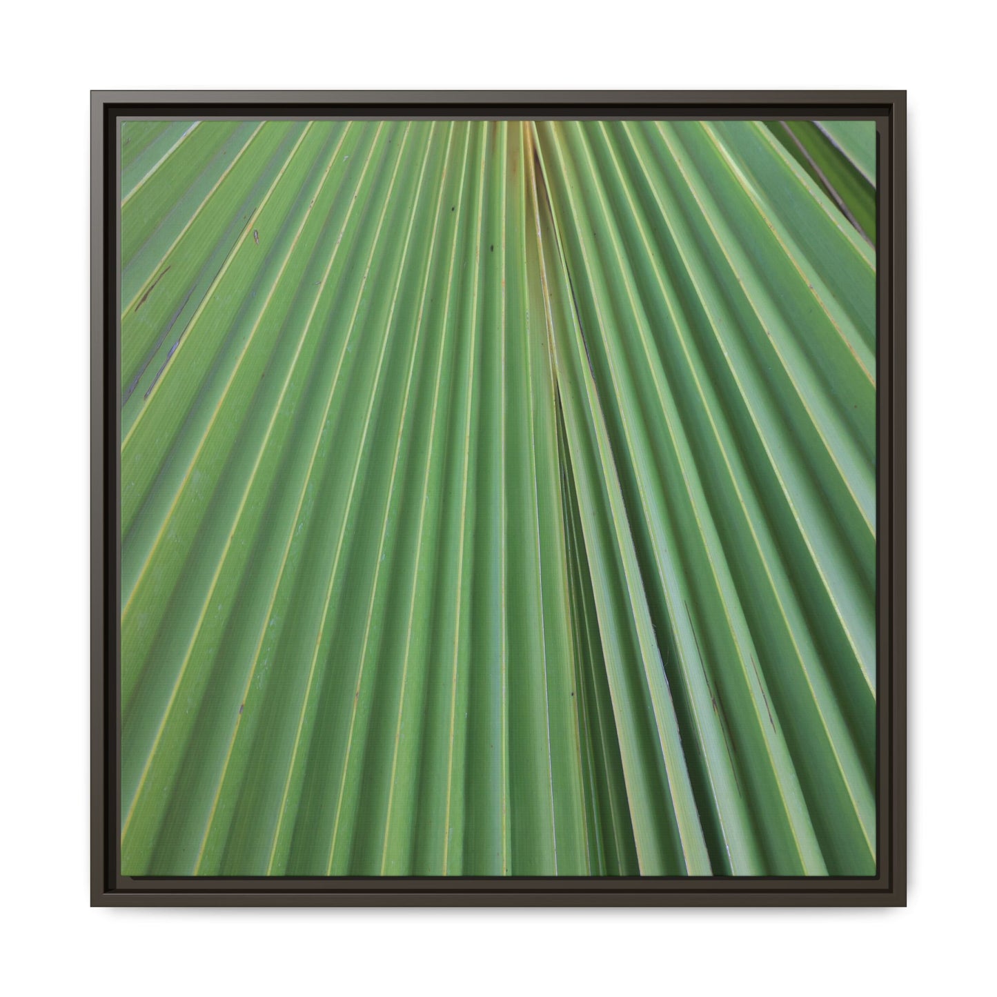 Verdant Veins - Unique Stretched Canvas Wall Art