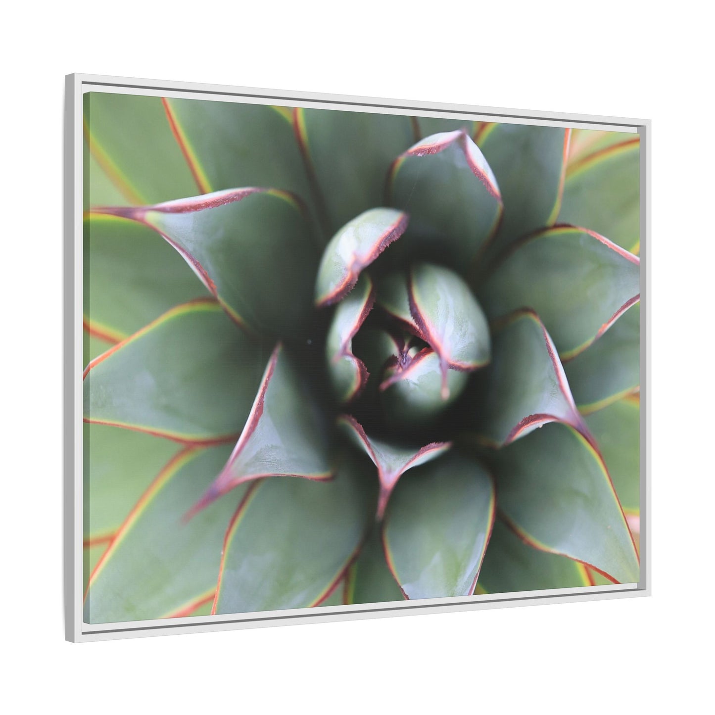 Spiky Elegance - Unique Stretched Canvas Wall Art