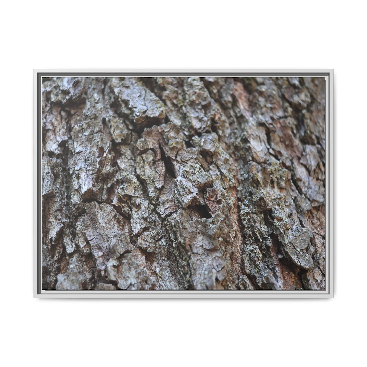 Woodland Canvas - Unique Stretched Canvas Wall Art