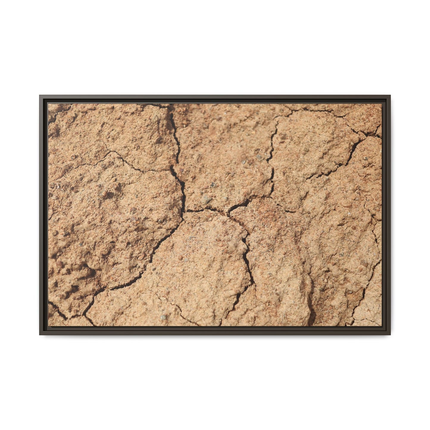 Parched Land - Unique Stretched Canvas Wall Art