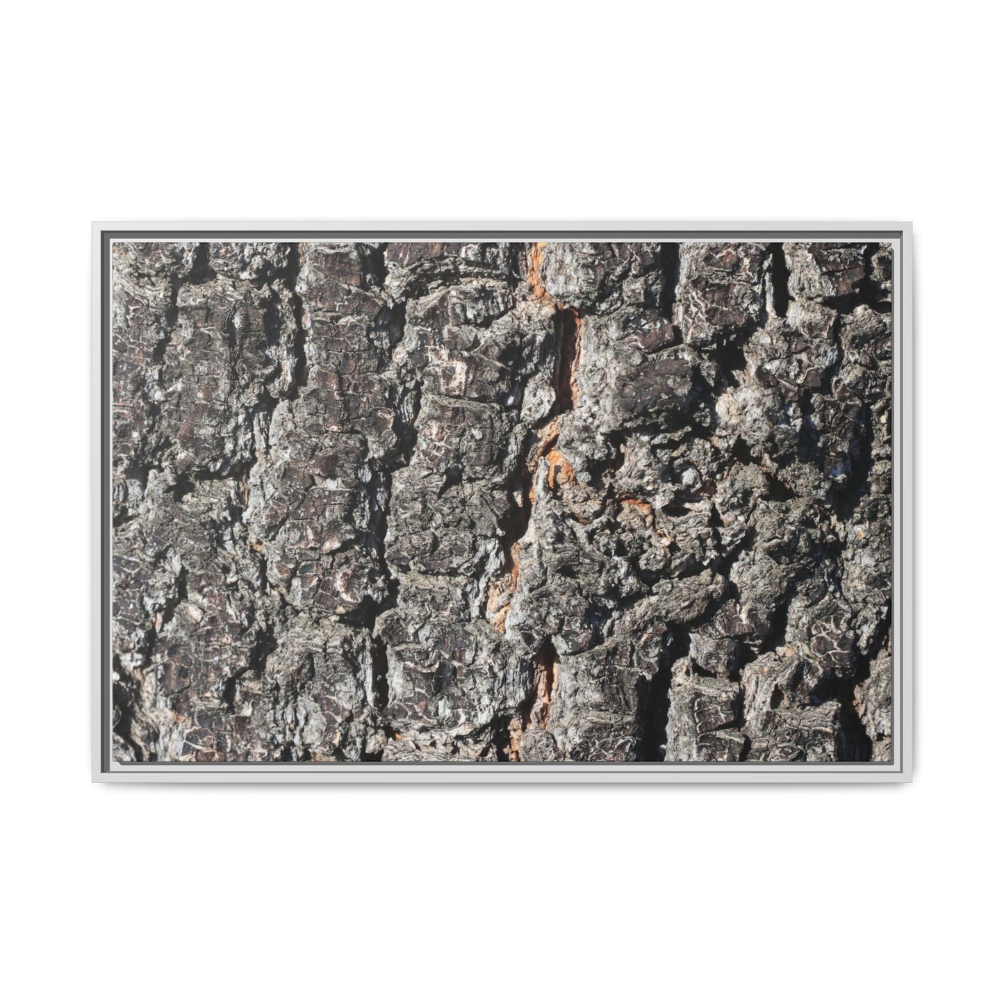 Aged Beauty - Unique Stretched Canvas Wall Art