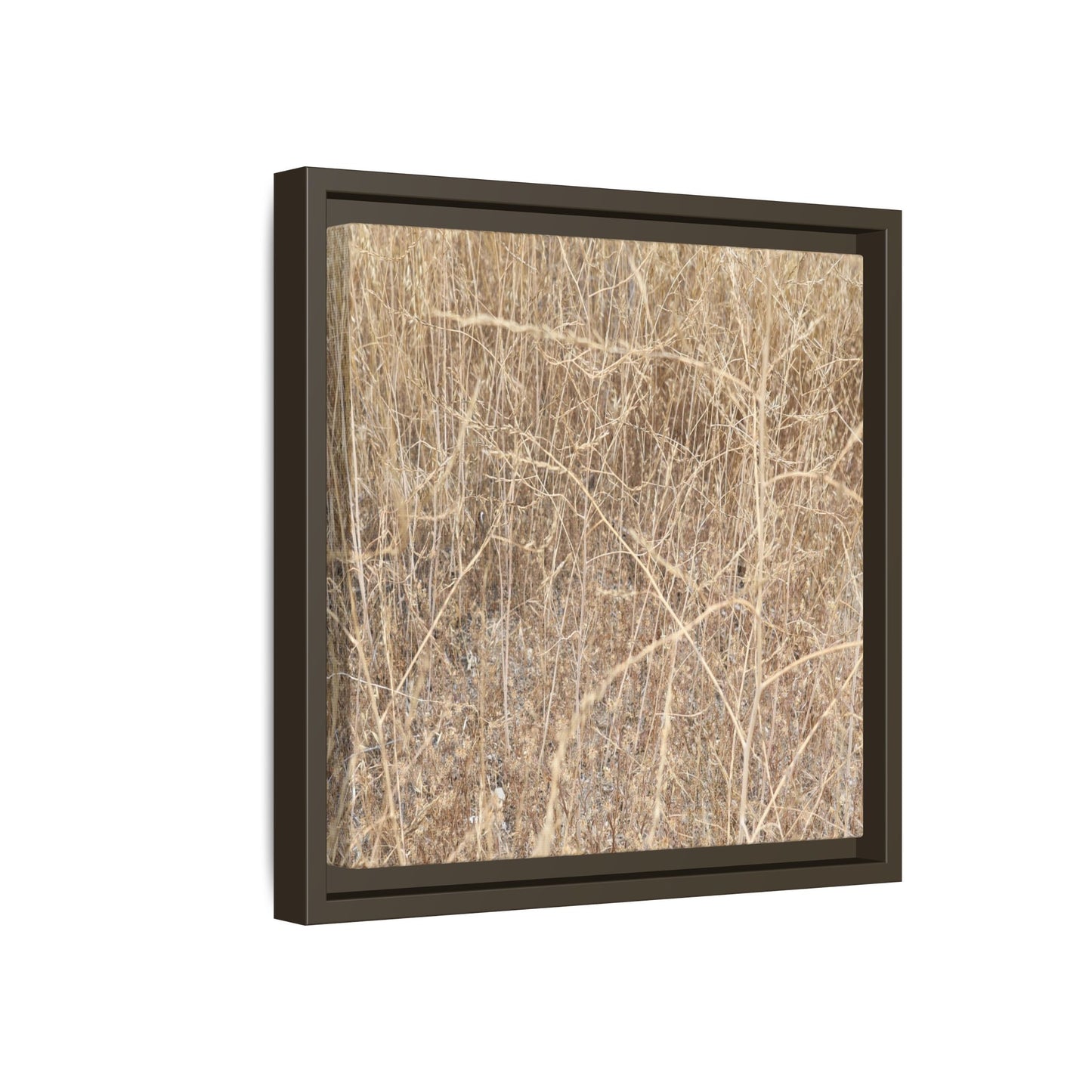 Golden Stalks - Unique Stretched Canvas Wall Art