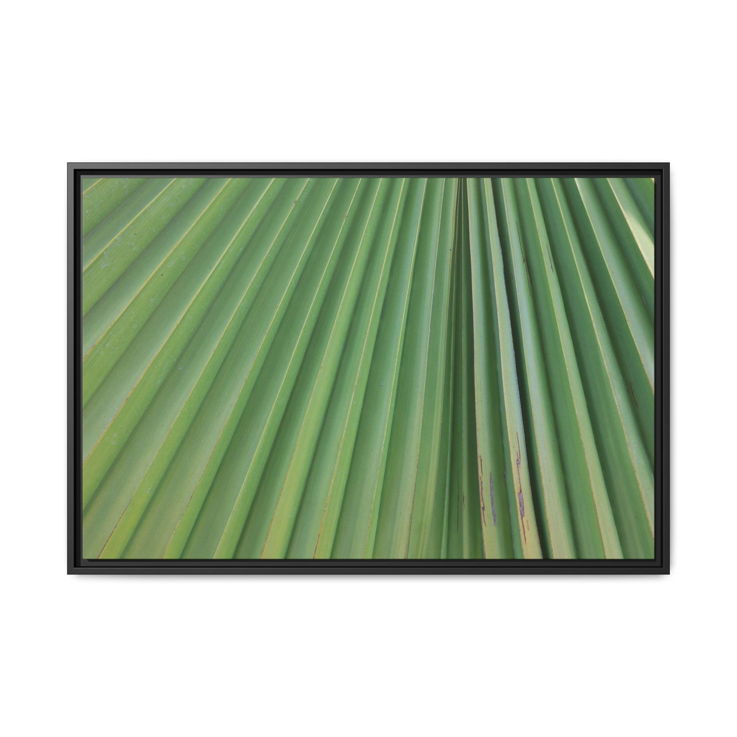 Emerald Rays - Unique Stretched Canvas Wall Art