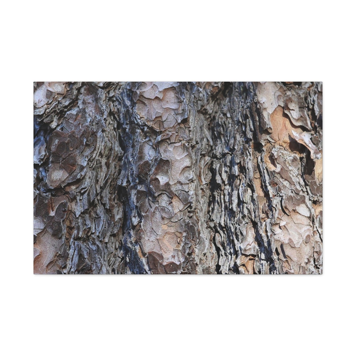 Bark's Rugged Symphony - Unique Frameless Canvas Wall Art