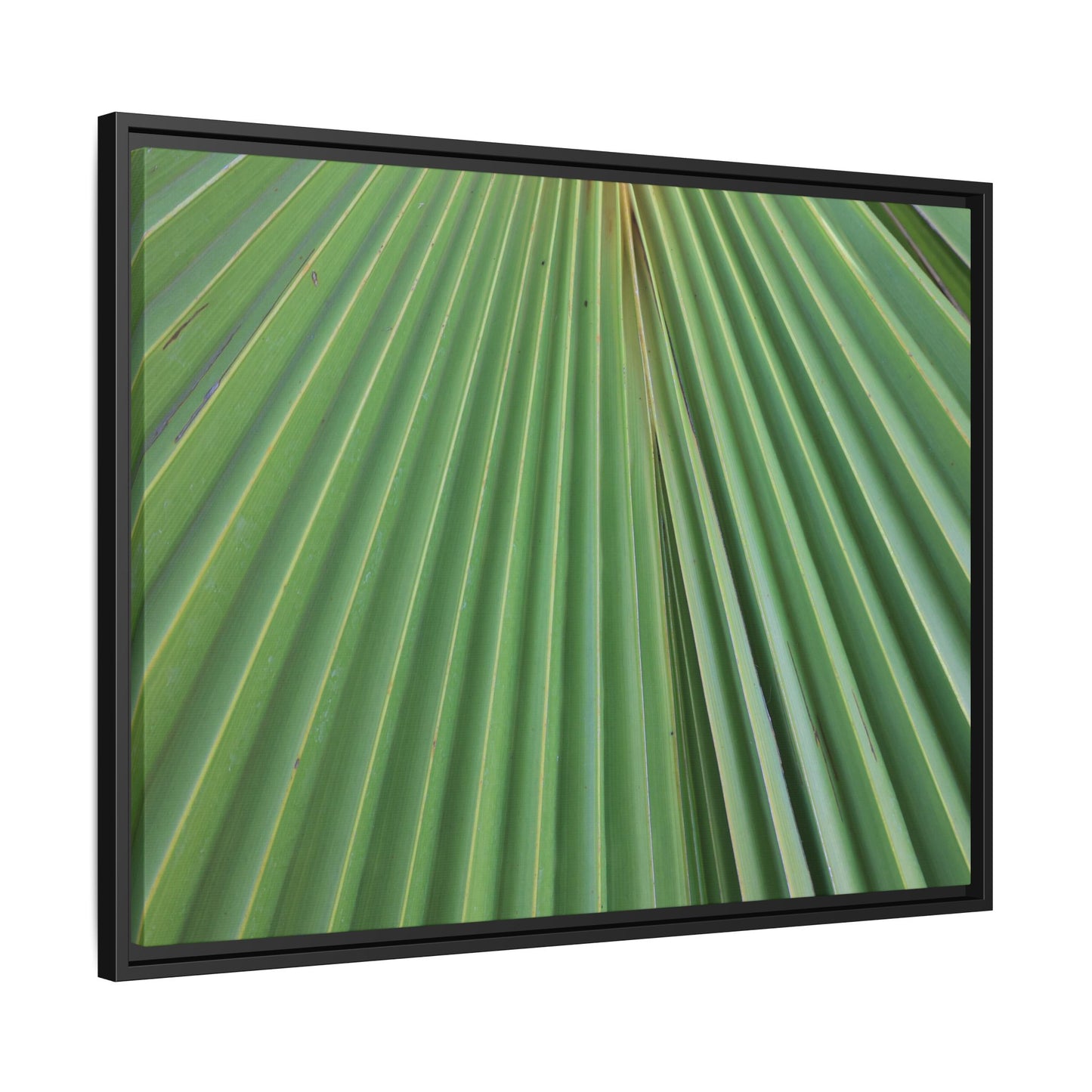 Verdant Veins - Unique Stretched Canvas Wall Art