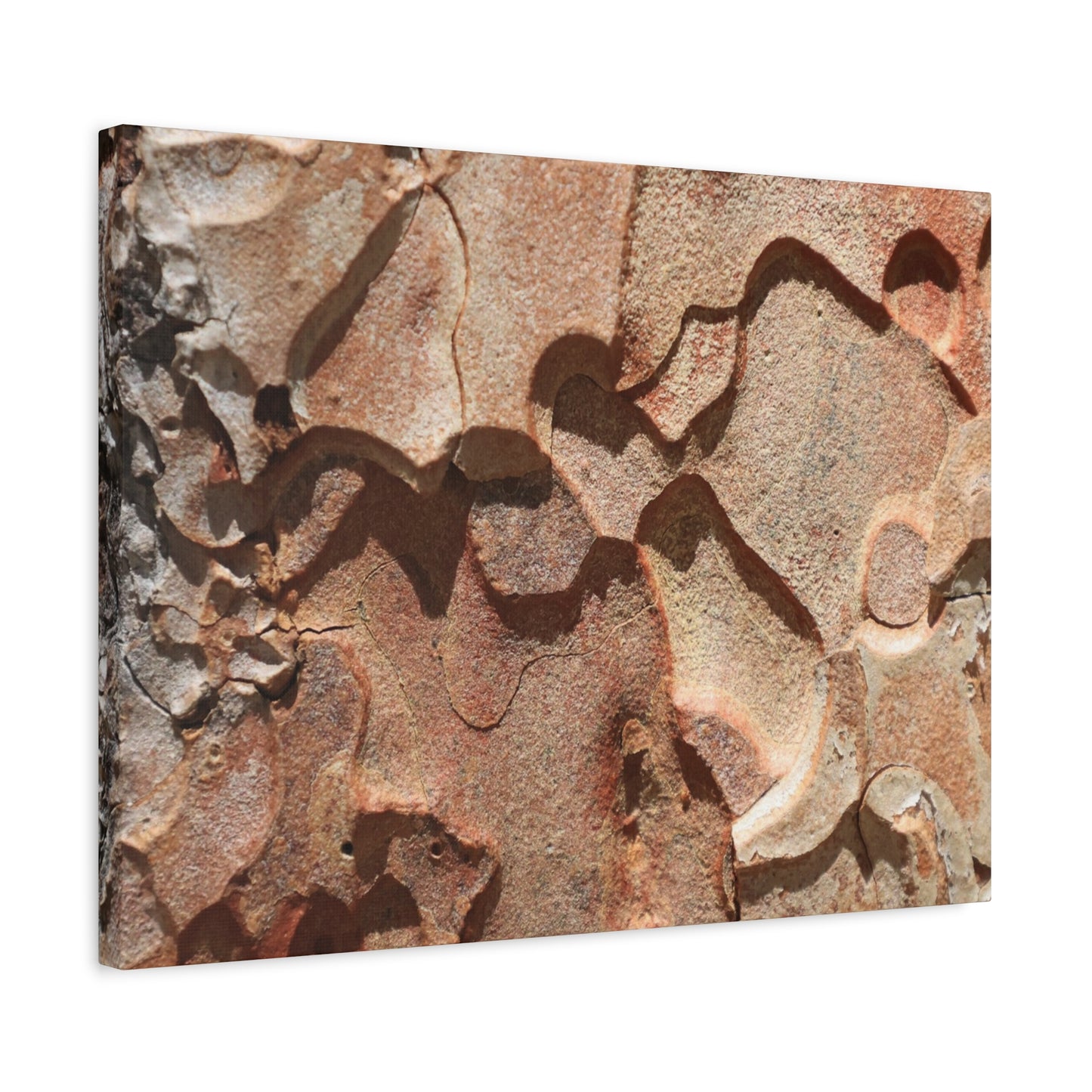Terracotta Echoes - Unique Frameless Canvas Wall Art