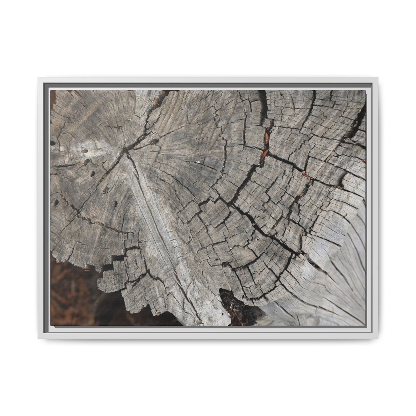 Time's Signature - Unique Stretched Canvas Wall Art