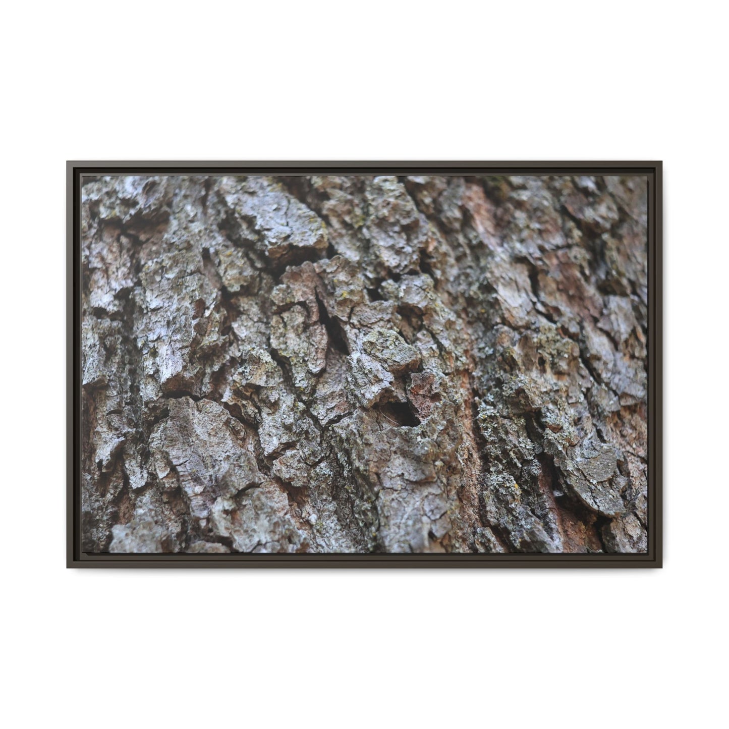 Woodland Canvas - Unique Stretched Canvas Wall Art